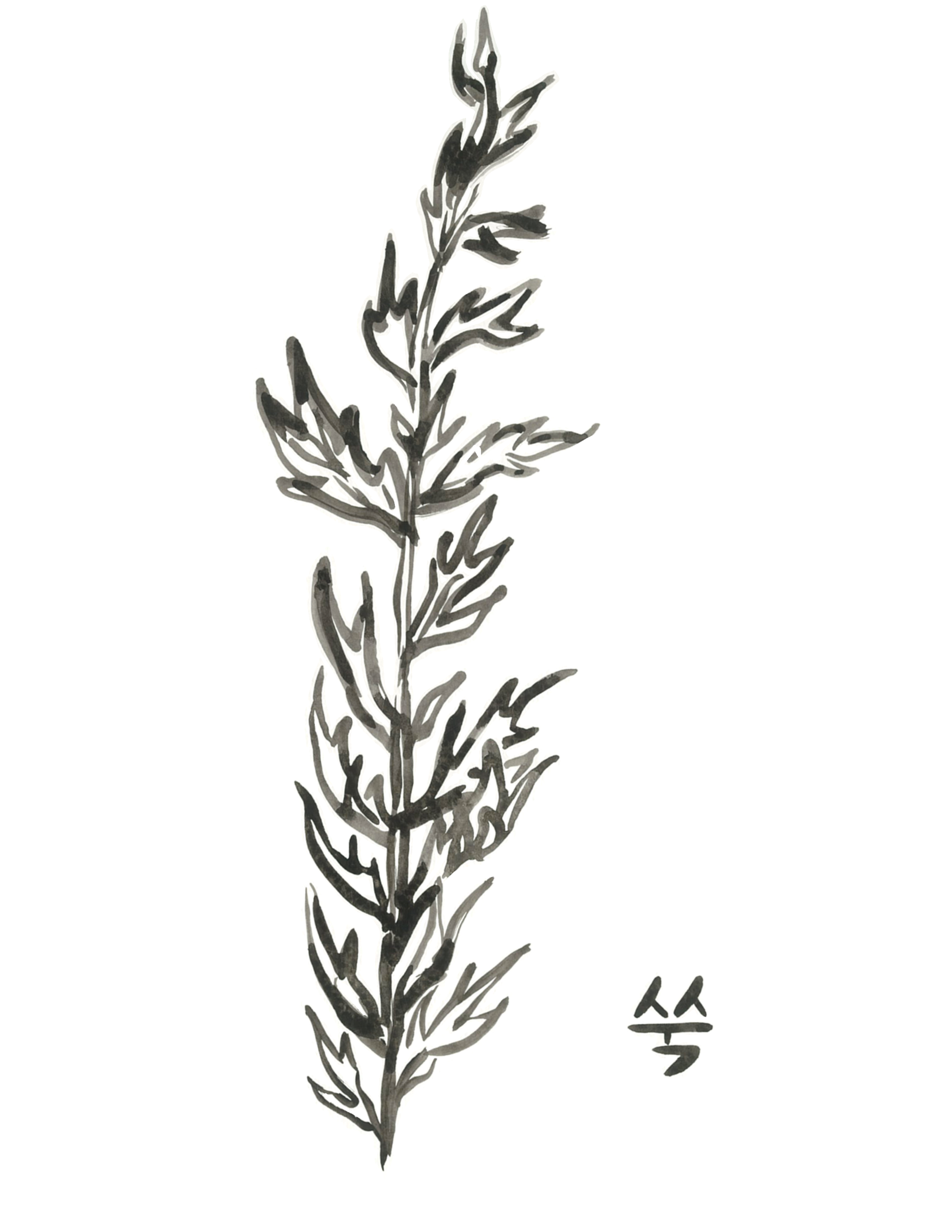 7.png