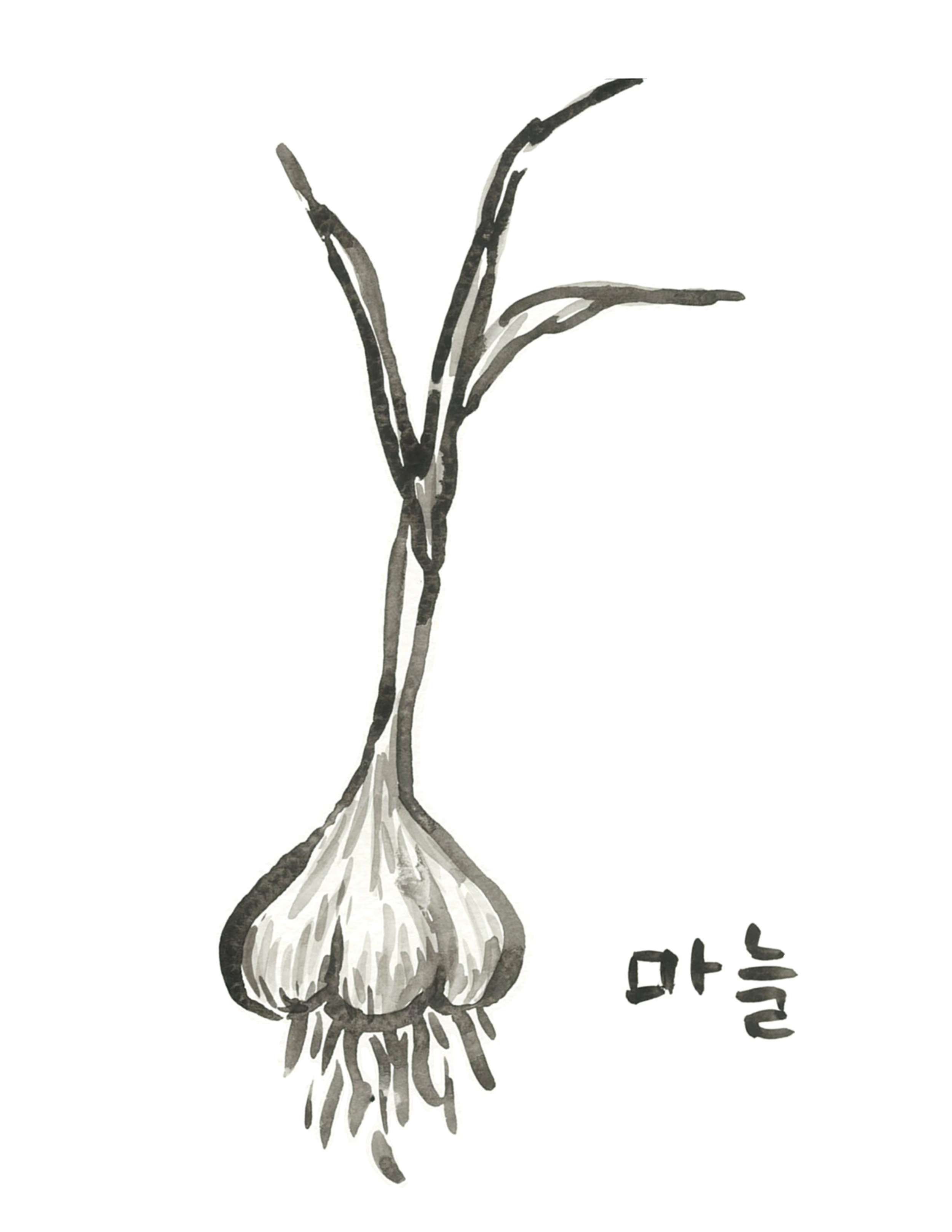 10.png