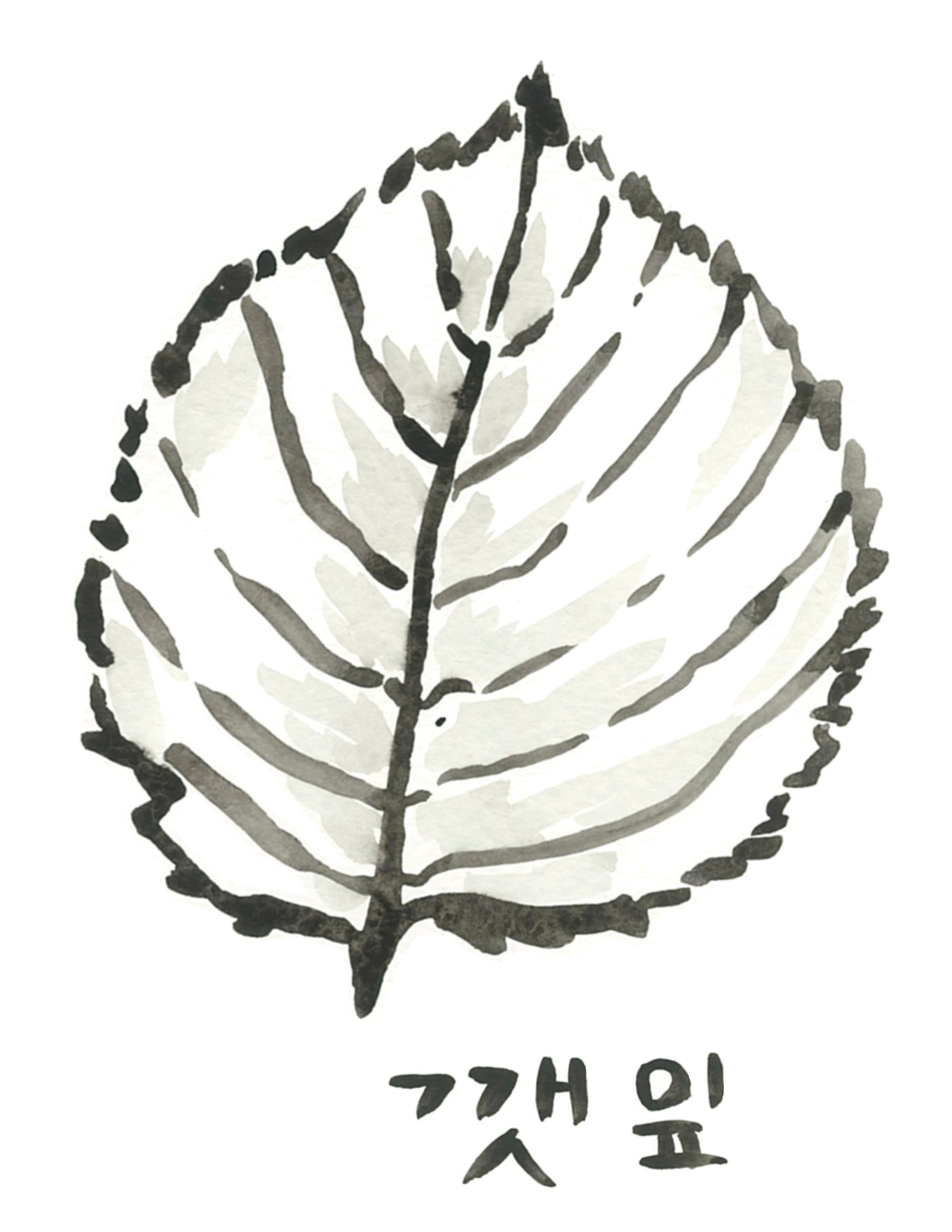 12.png