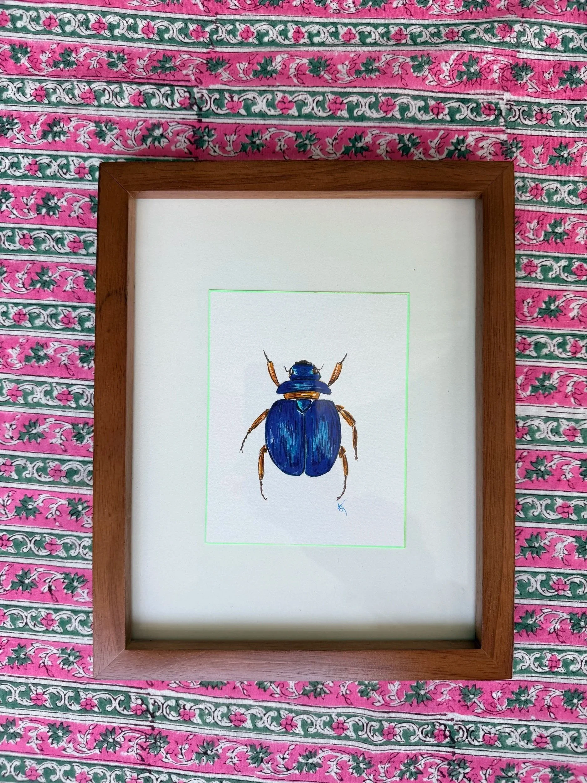 Scarabée bleu