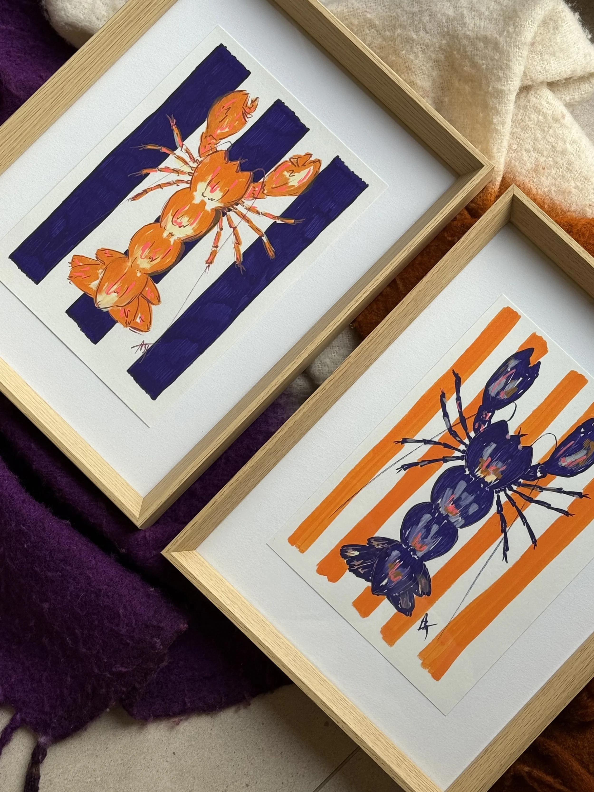 Binome petit homard orange violet.jpg