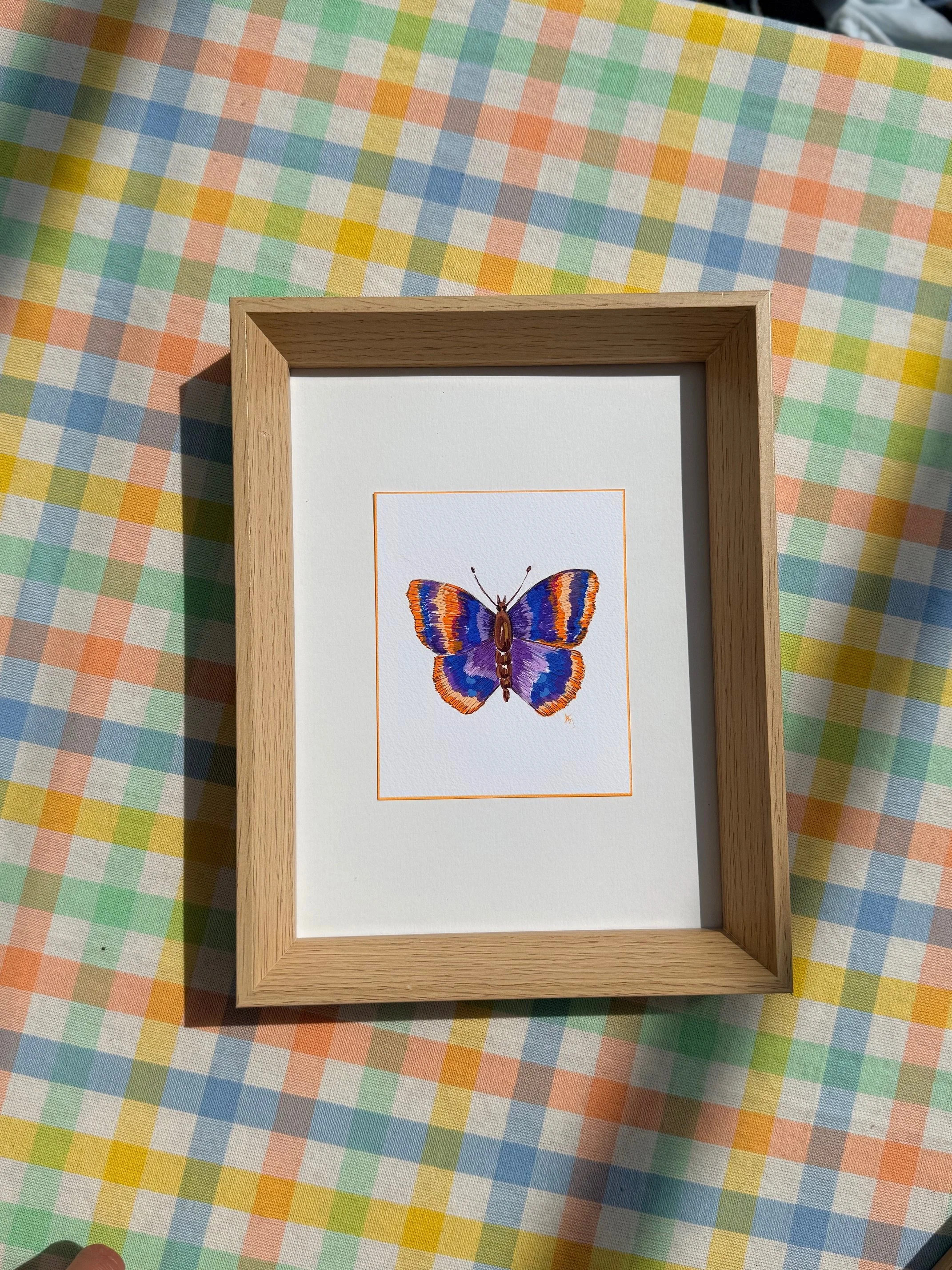 Papillon violet
