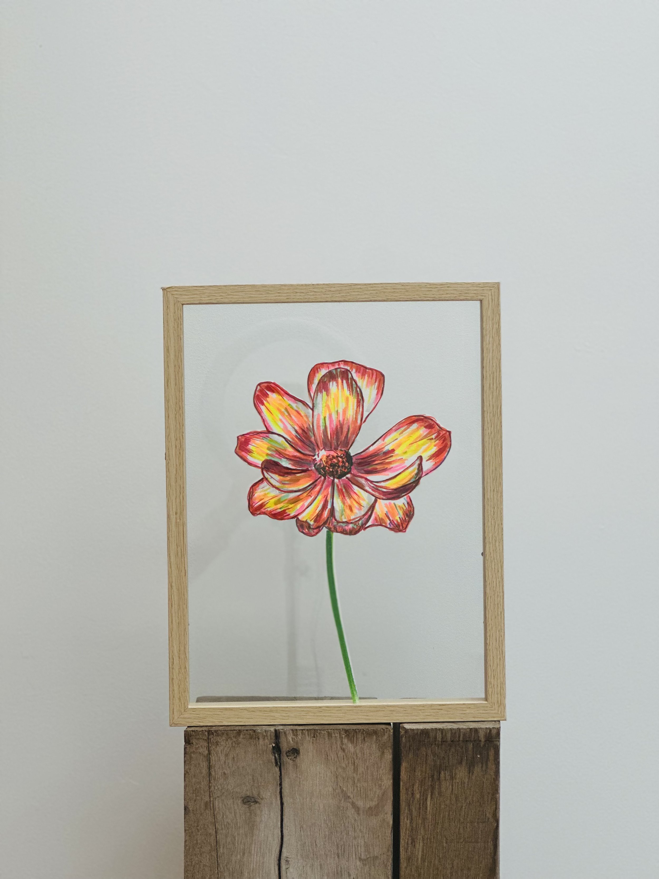 Dahlia ouverte "Offrez vous des fleurs"