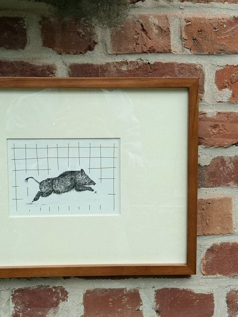 Sanglier