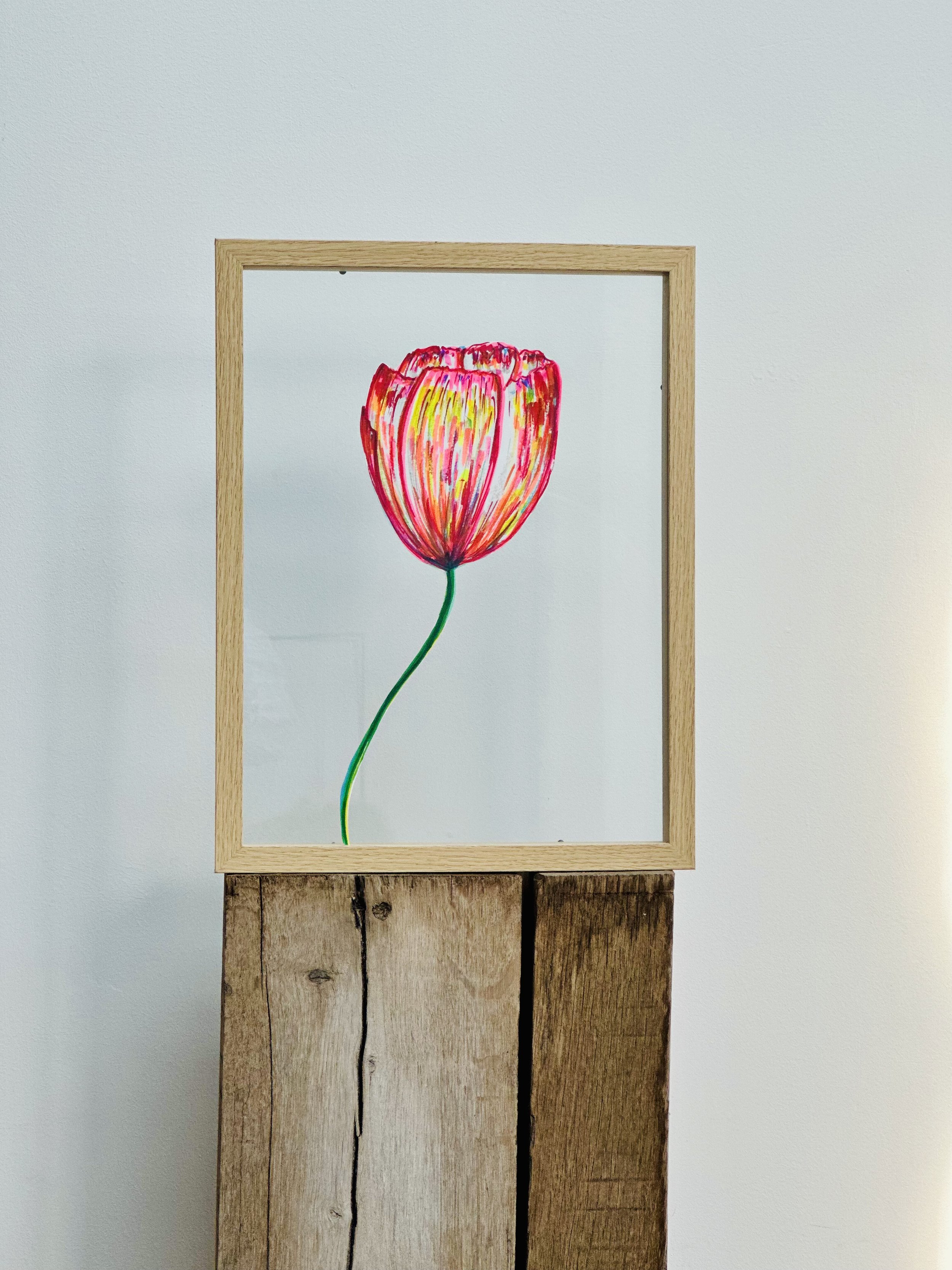 Tulipe "Offrez vous des fleurs"