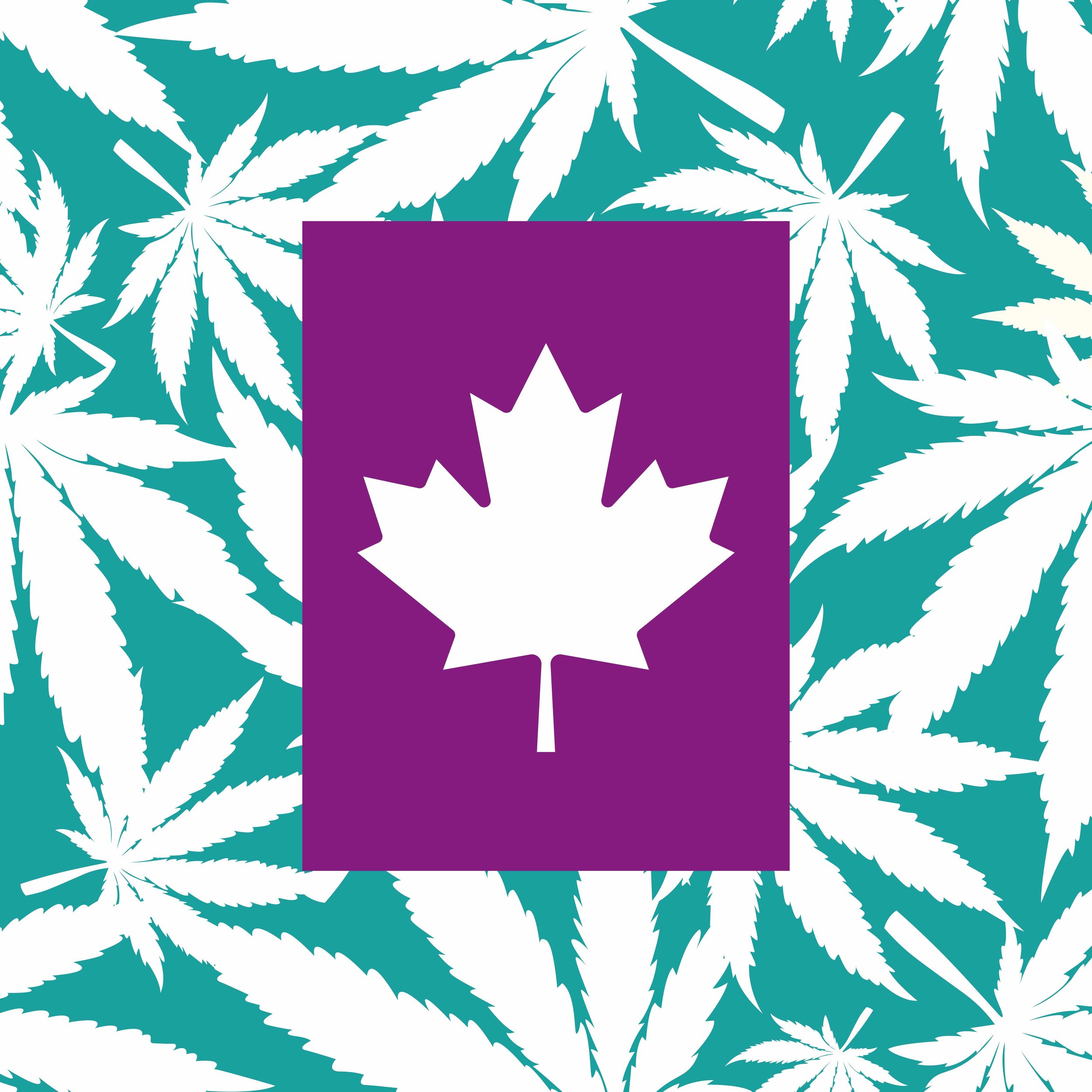 Cannabis Marketing in Canada: How to Build a Memorable and Compliant Brand and Advertise It