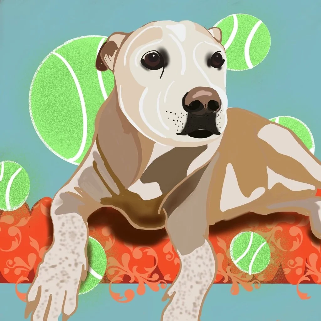 macsdog.jpg