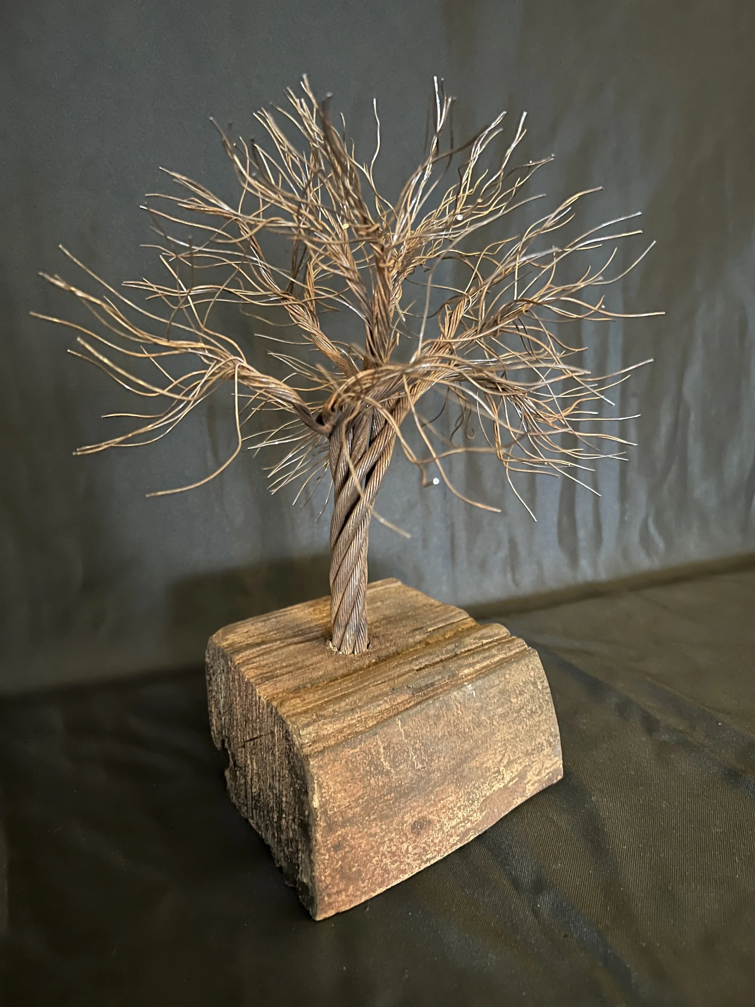 Tree - 6