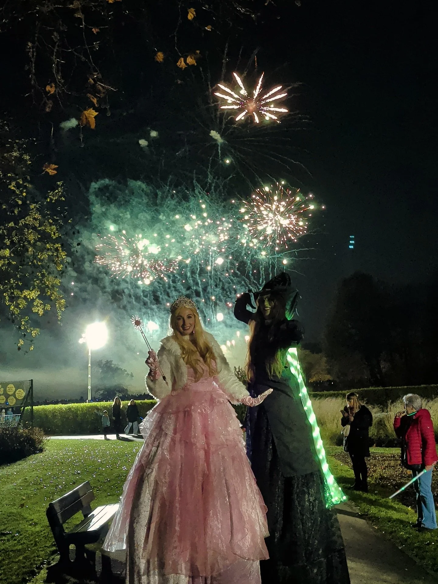 A night at the movies post