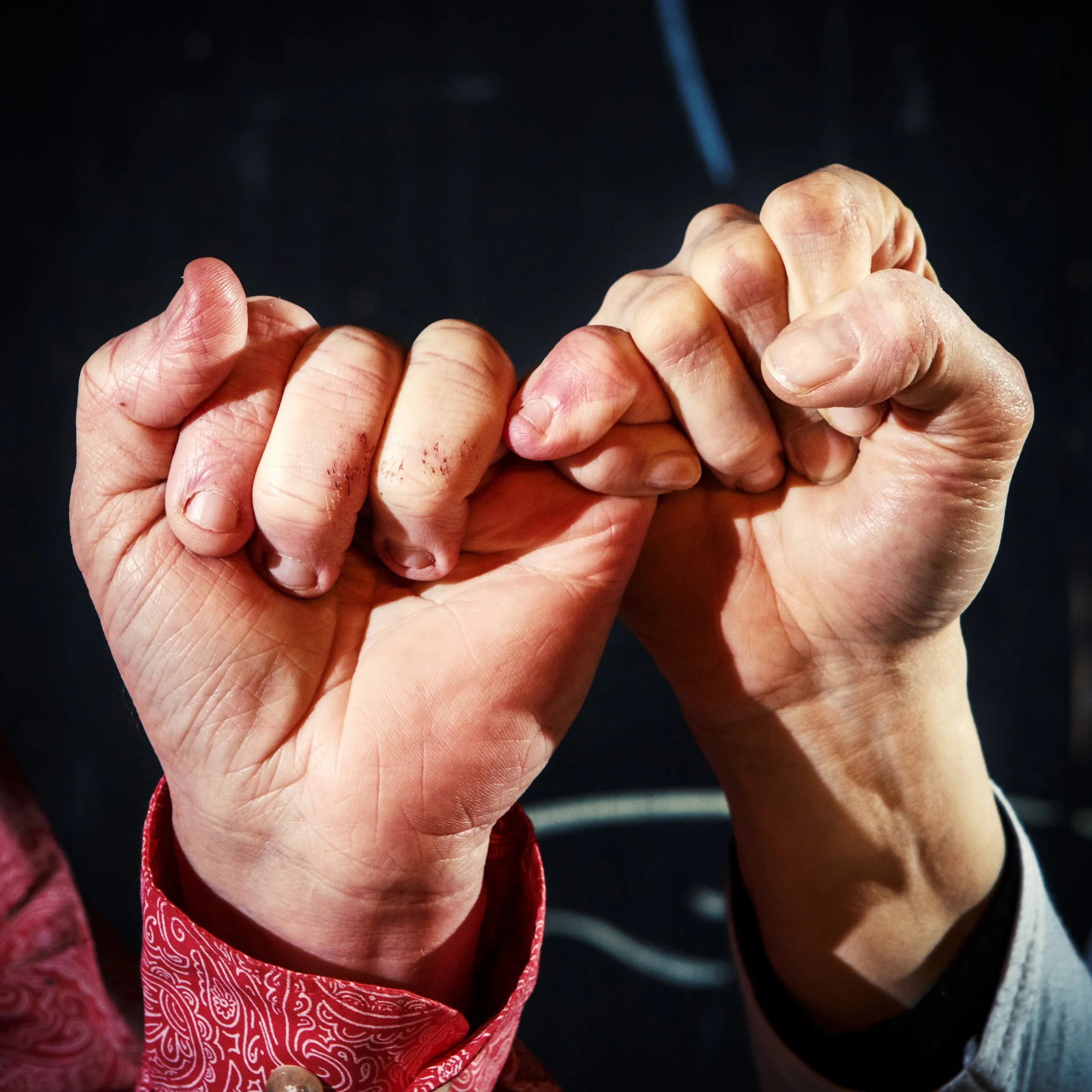 BWSWW Pinky Swear.jpg