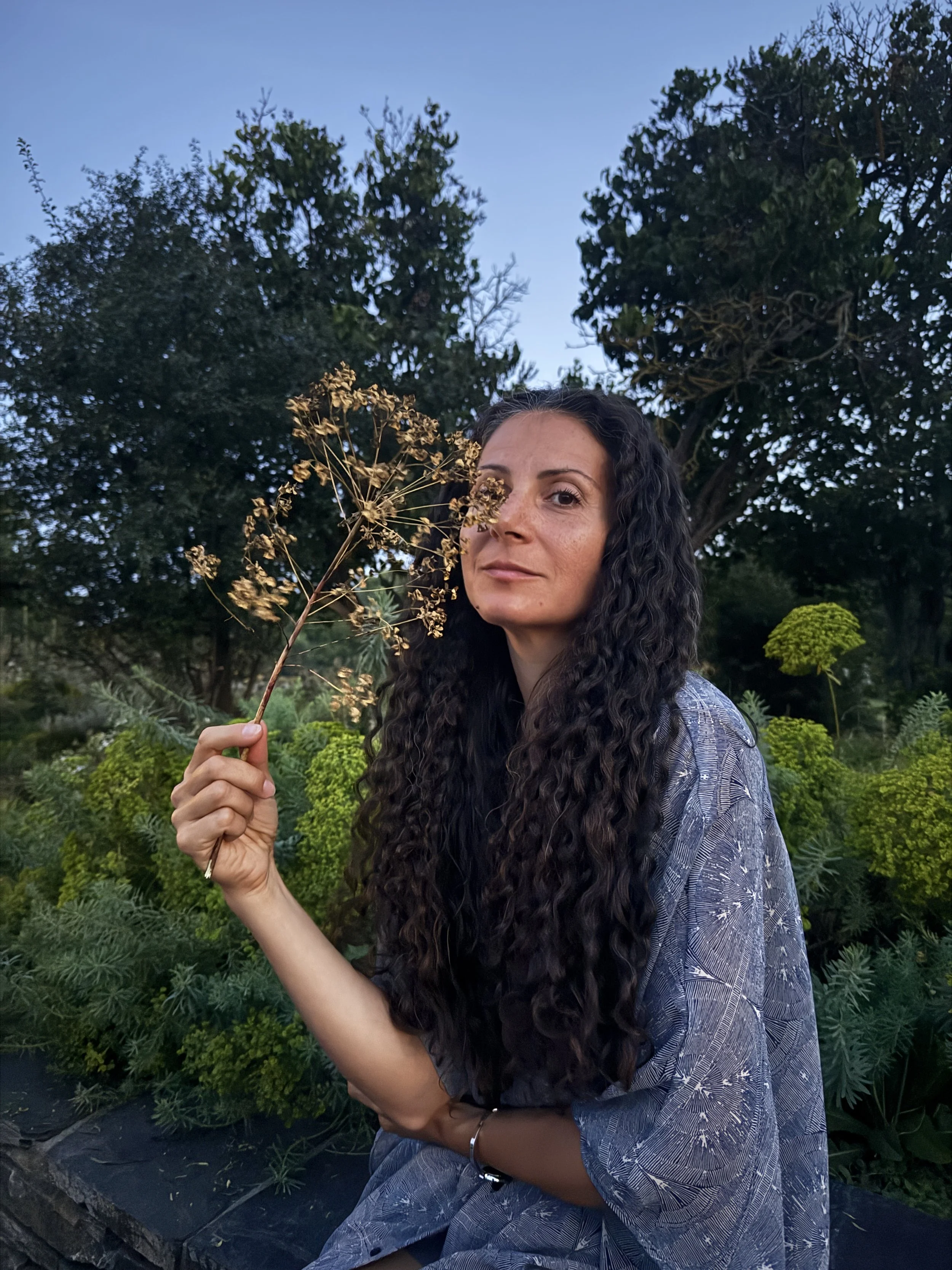 astrology, tarot, reiki, astrology reading