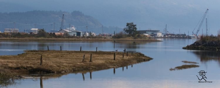 cowichan bay.jpg