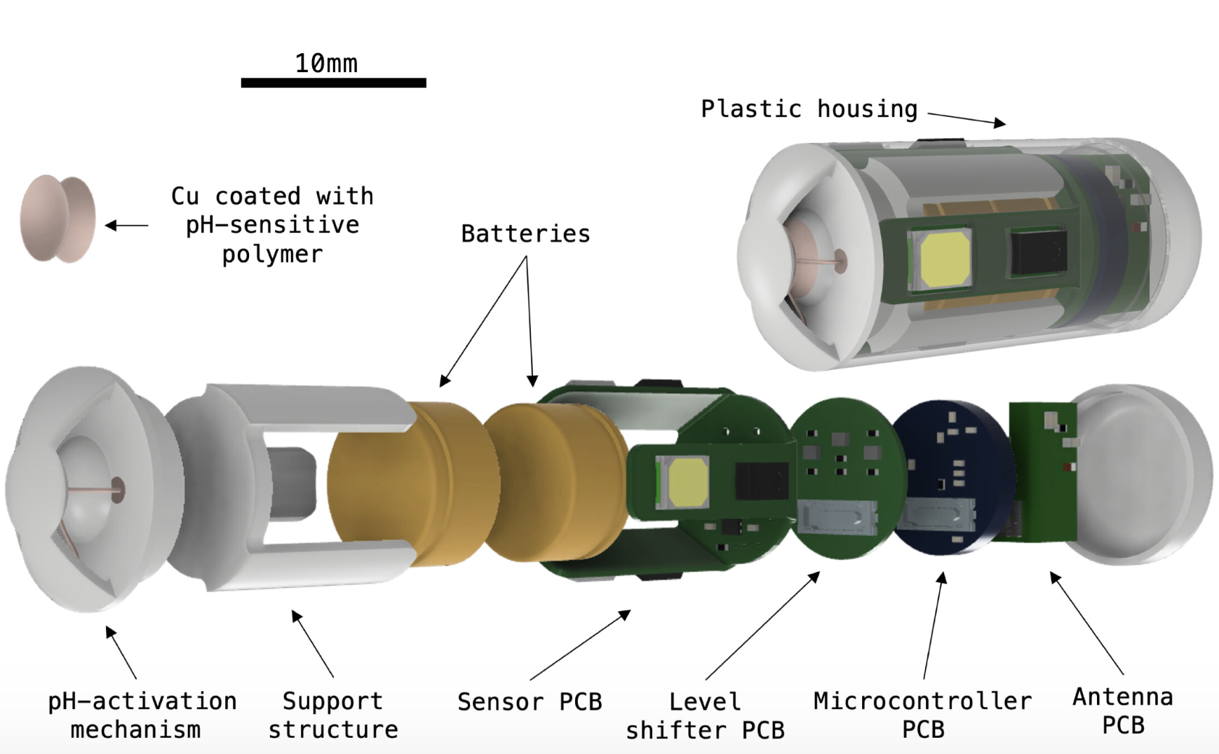 Science Robotics: An ingestible capsule for luminance-based diagnosis of mesenteric ischemia