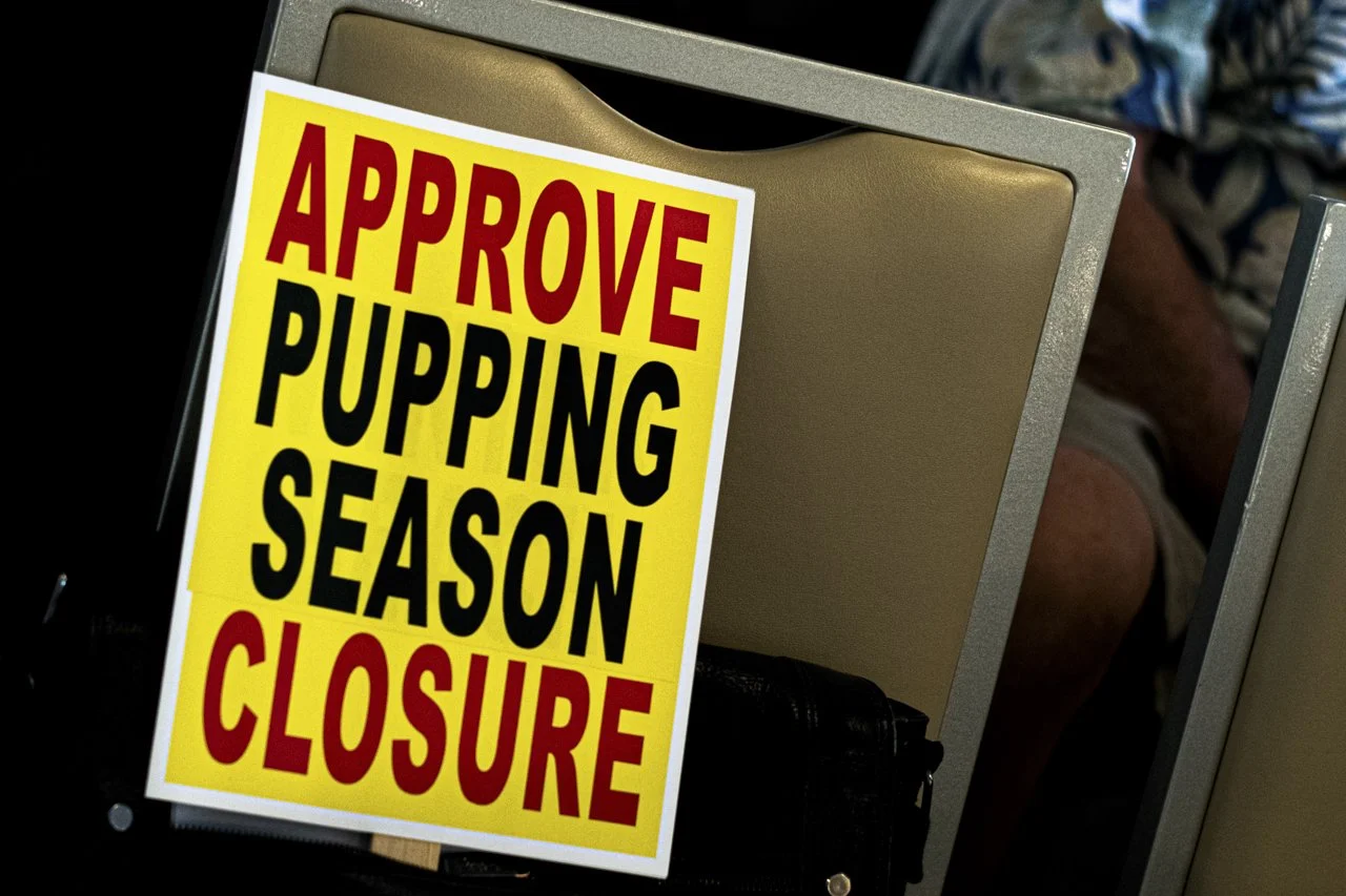 At the 2019 California Coastal Commission meeting that took place in San Diego, CA citizens from the Seal Conservancy and the Seal Society show their support for the vote to renew the Casa Beach also known as Children’s Pool La Jolla San Diego, CA fo