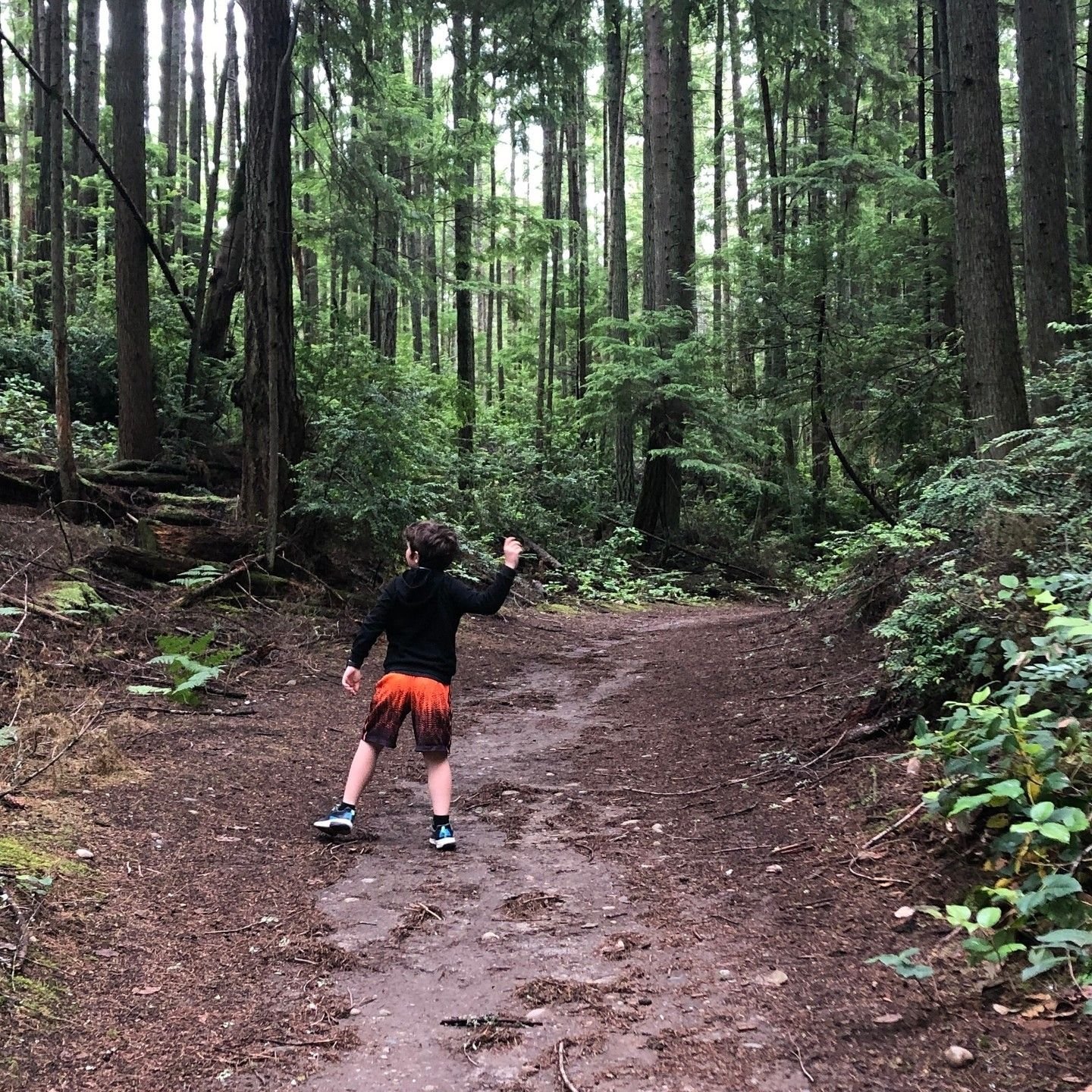 SCENE: Kid picks rocks up and throws them, trying to hit trees. Hits 1 out of every 10 throws.

After each hit&hellip;

KIDDO: (arms up in a muscle, power stance, he yells like an announcer in a stadium) &quot;Never underestimate a kid who plays base