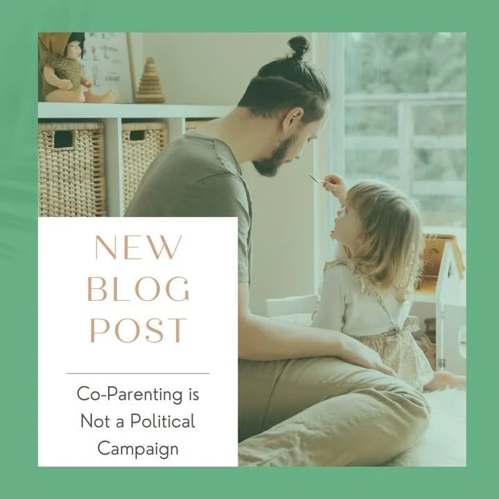 Collecting evidence to make your opponent look bad works in political campaigns, NOT in co-parenting!

Check out my new Blog Post on why we do it and what we can do instead-- that's much more helpful!

👉 READ FULL POST: https://www.meggluckman.com/c