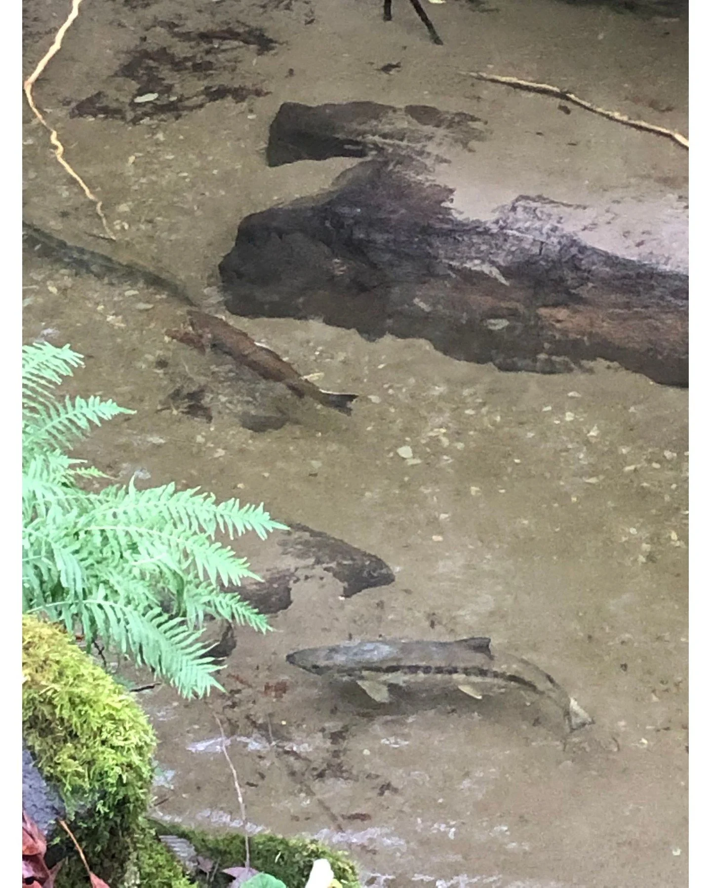 Remember to use your time without your kiddos for more than working extra or doing chores.

Your kids need you to be more than a parent.

They need you to be a full human.

One who seeks awe, celebrates miracles, feels big feels, and loves themselves