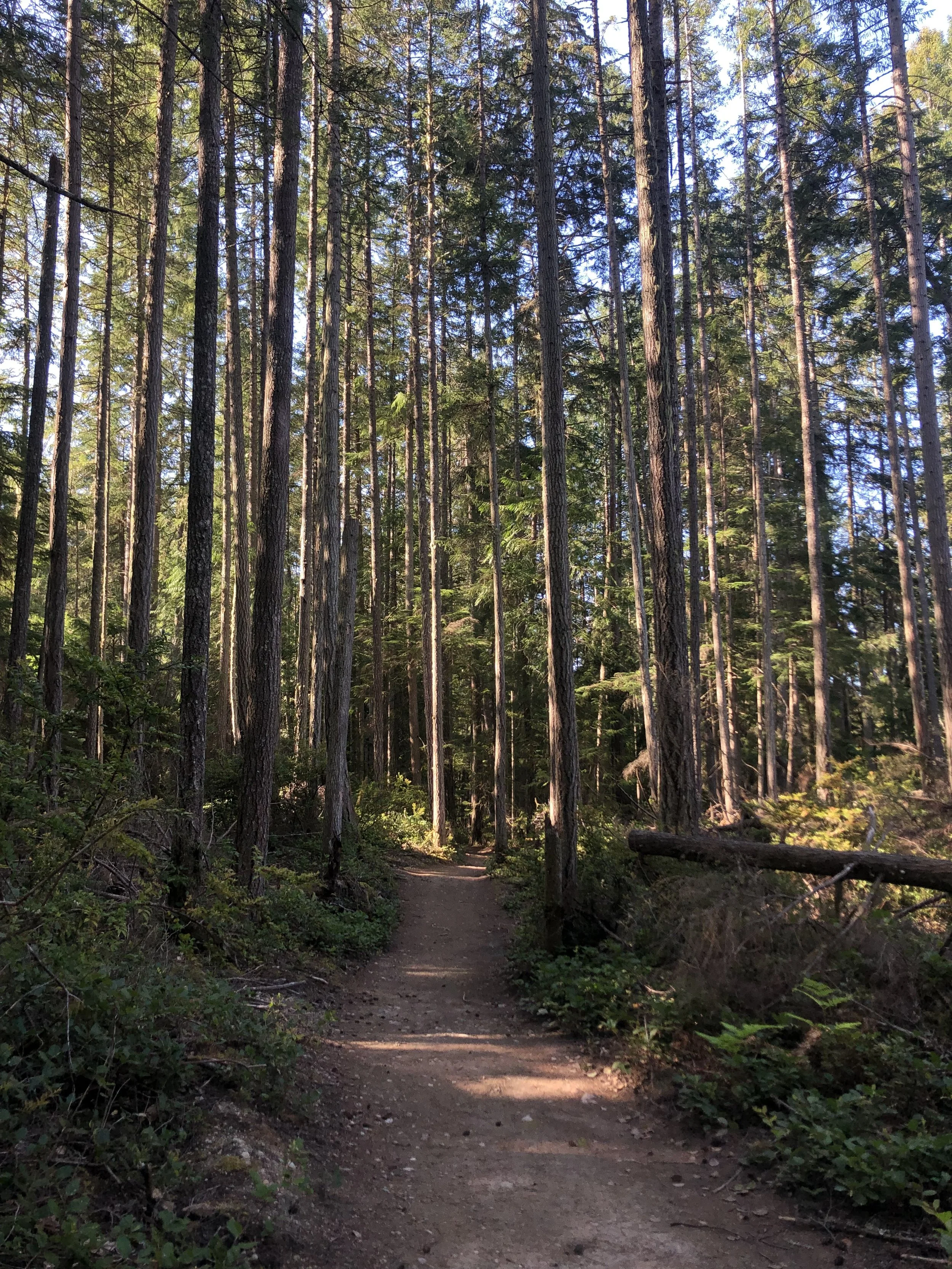 Of course. This is just part of my trail.