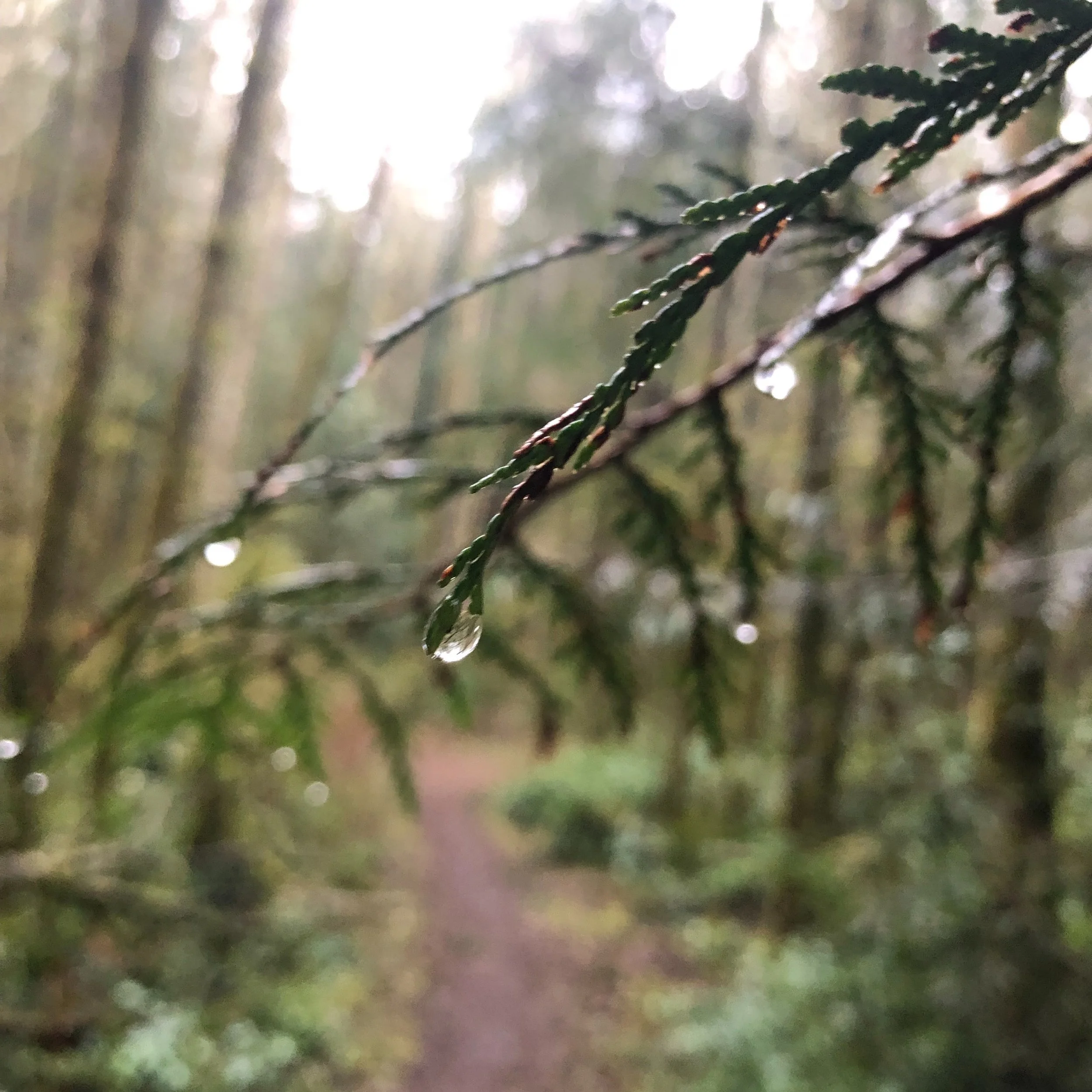 I could write a whole book on friendships and divorce. 
 
It's so multifaceted &mdash; tangled up in our communication styles, our histories with loss, the way we each handle being hurt. There are so many juicy threads in here... but here's the main 