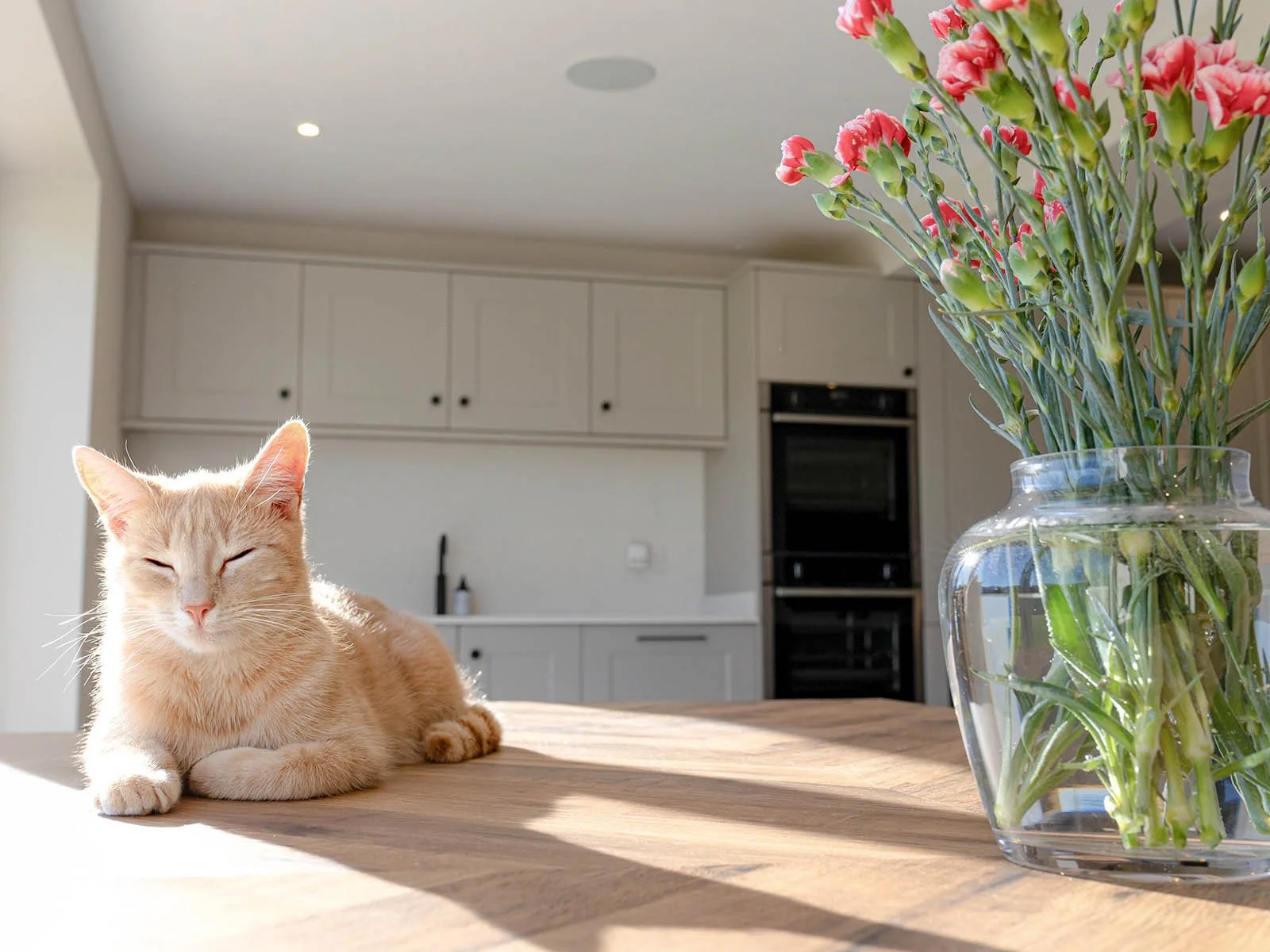 Sunlit Kitchen Island Detail