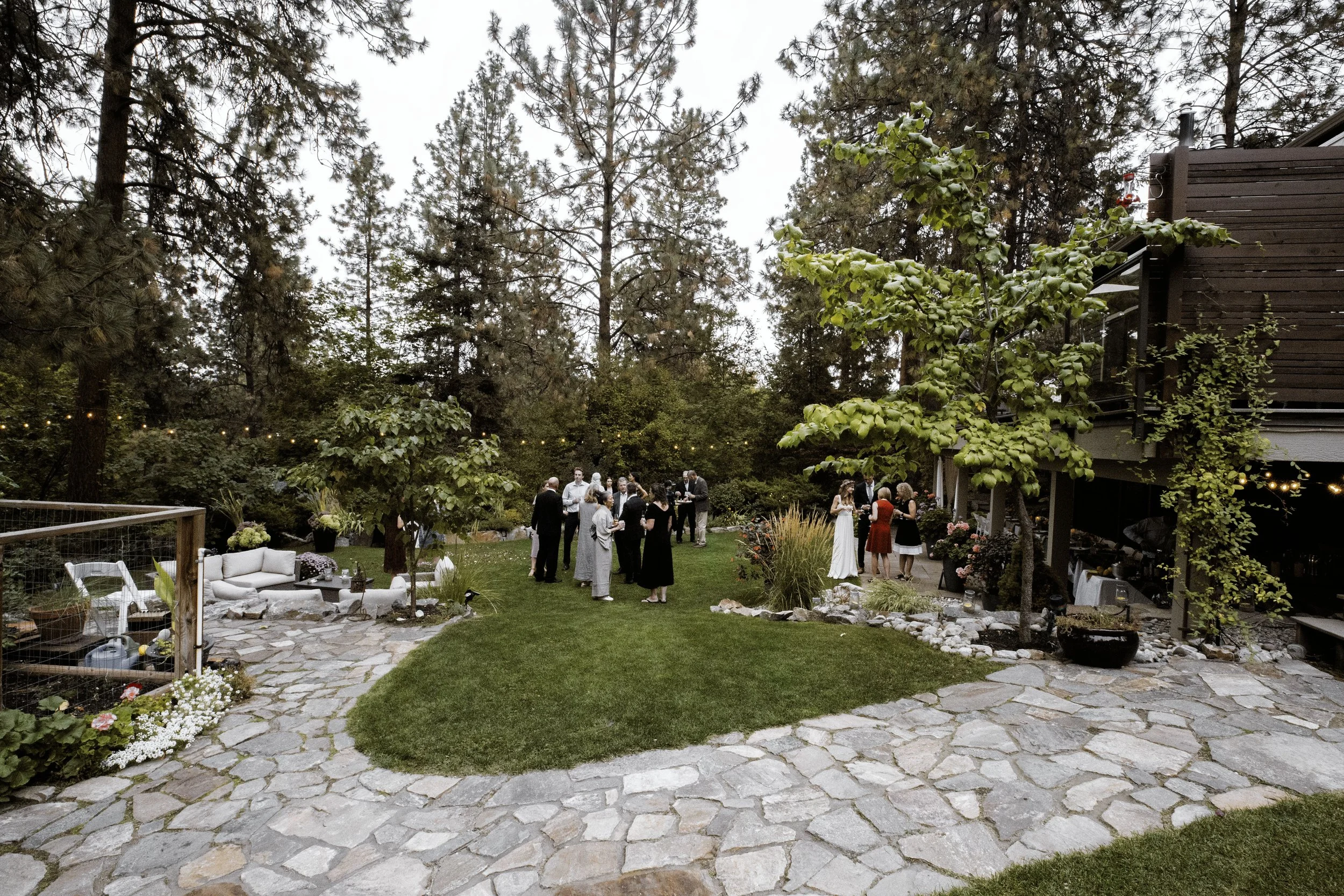 OrchidWolfPhotography-91-2-Edit copy.jpg