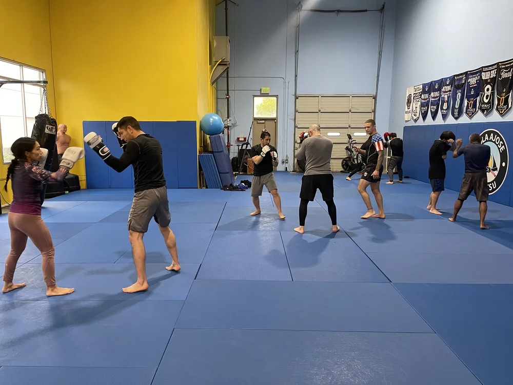 Kola Ajose Jiu-Jitsu training moment