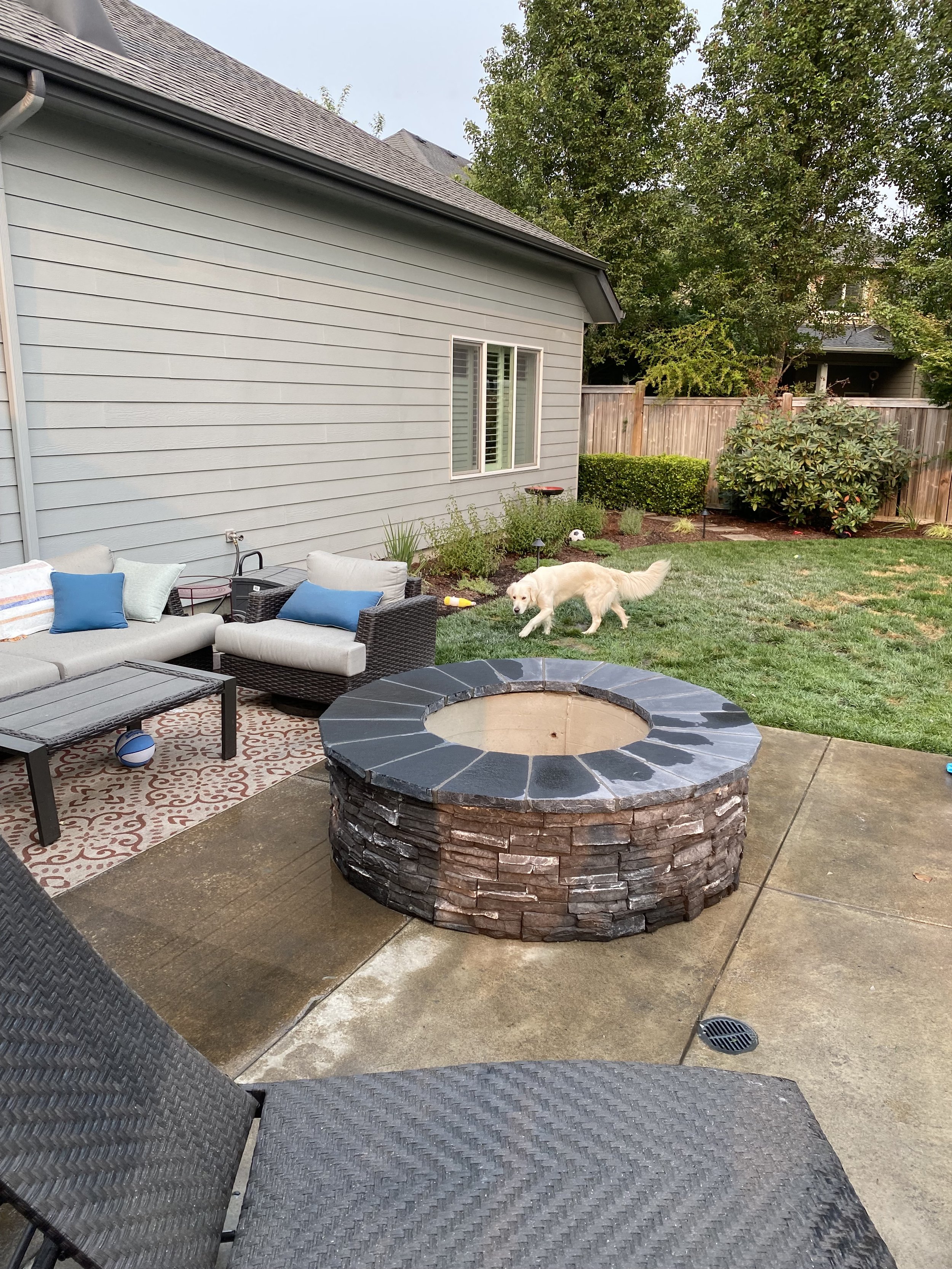 Backyard patio with outdoor furniture, a fire pit, a dog playing on the grass, and a house with a window and trees in the background.