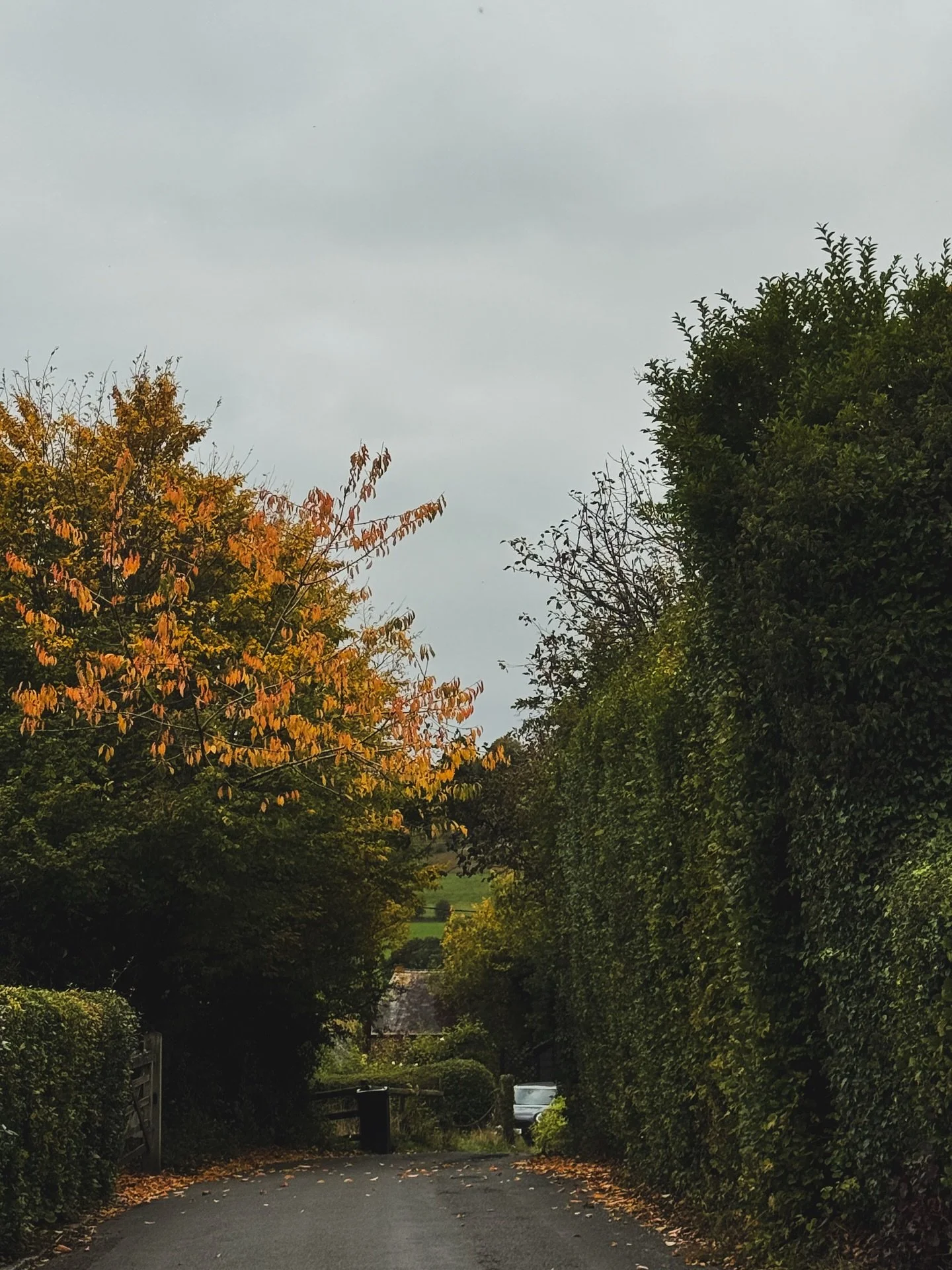 Life lately ✨🍂🧡

#autumn #fall #aesthetic