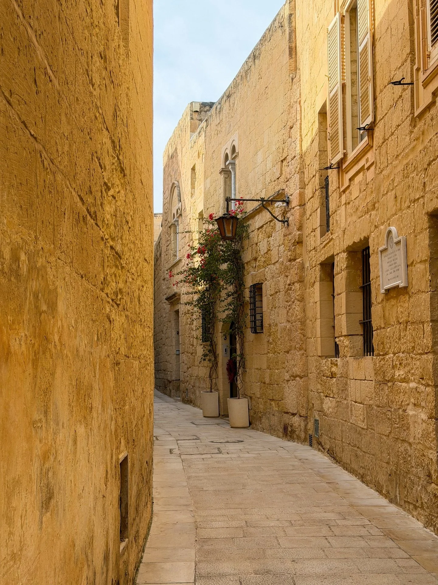 The gorgeous buildings of Mdina 😍

Missing the warmer climates ✨