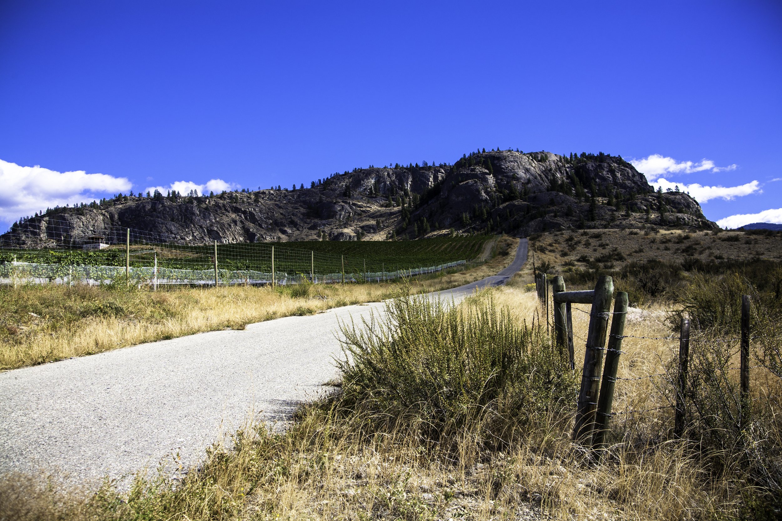 okanagan-7004.jpg