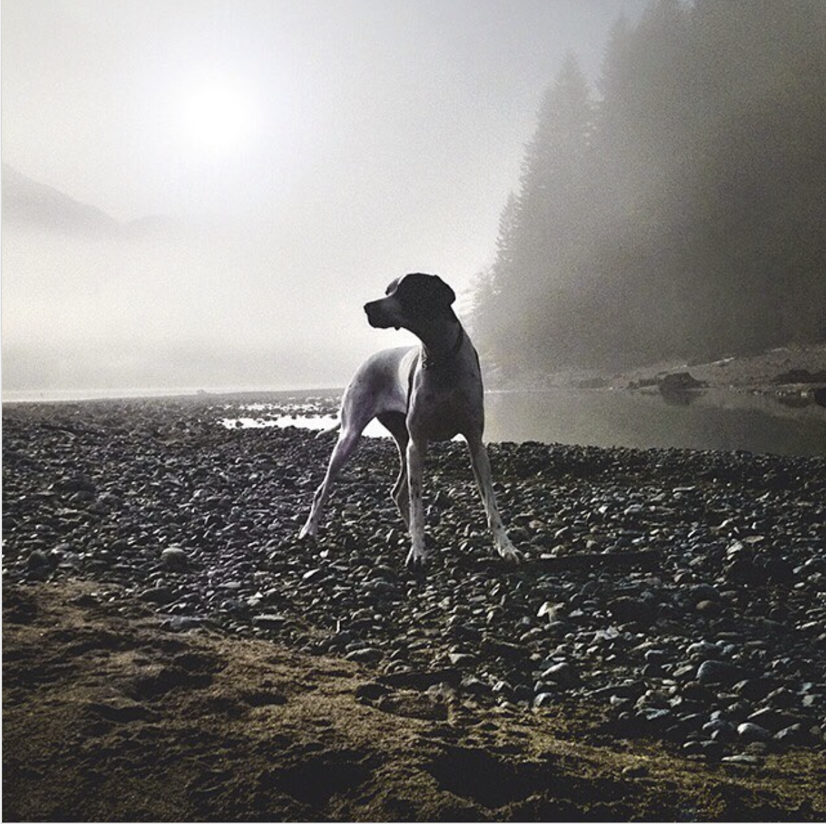 Screen Shot 2022-11-03 at 6.41.17 PM.png