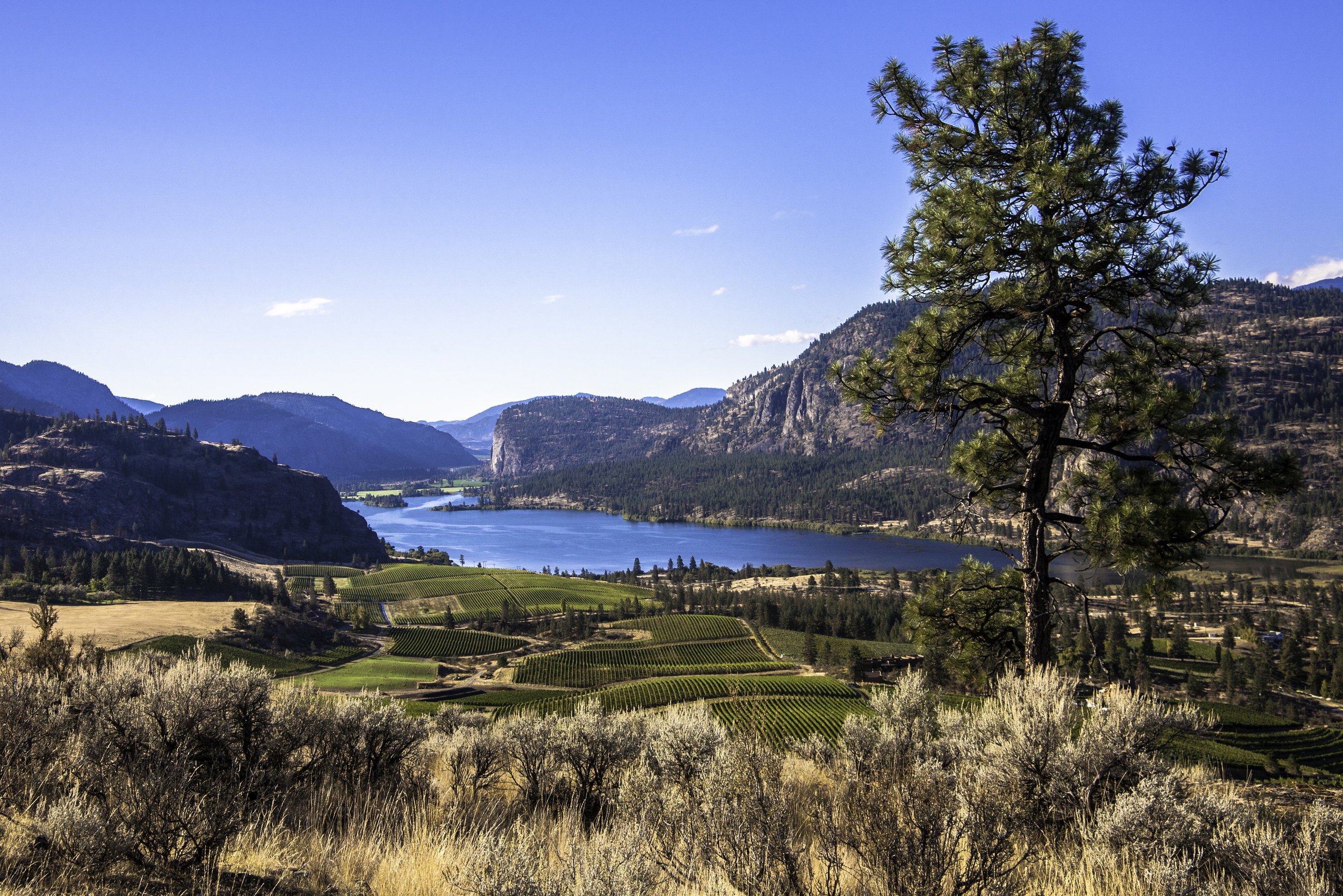 okanagan-6837.jpg
