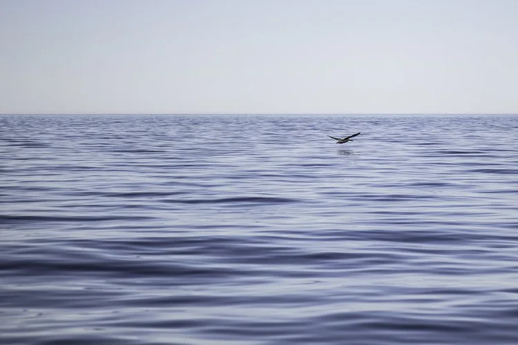 2016-06-13 19.02.05.jpg