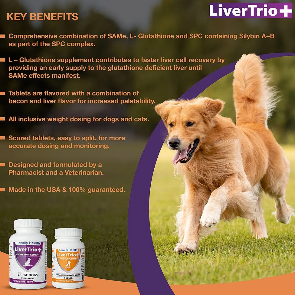 Livertrio-infog copy.jpg