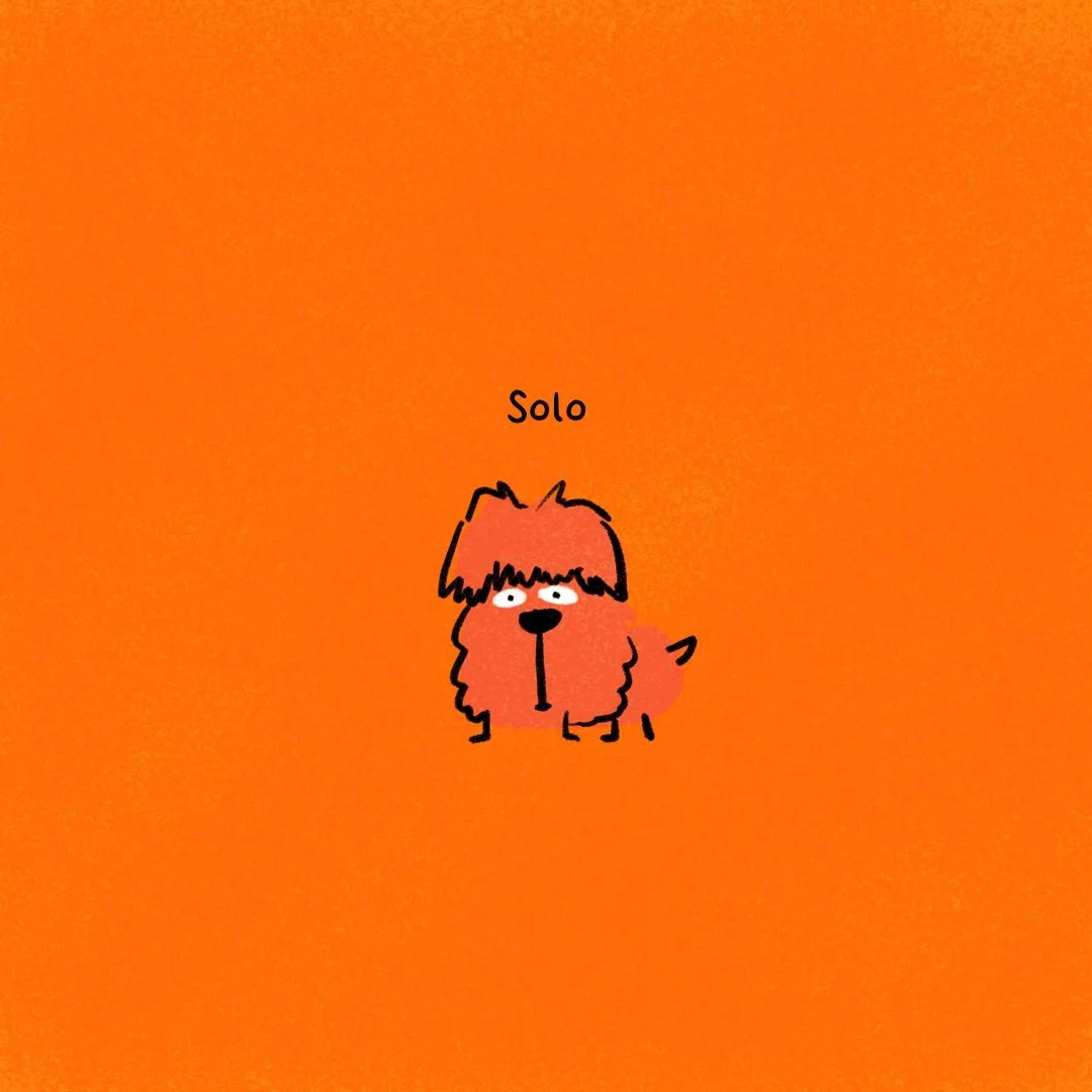 A simple cartoon drawing of a small, fluffy dog with a shaggy coat, looking slightly surprised or confused. The dog has white eyes with black pupils, a black nose, and a small tail. Above the dog, the word "Solo" is written.