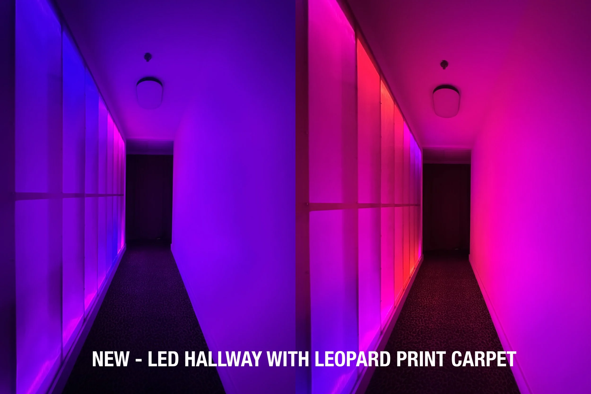 A hallway with LED lighting in purple and pink hues, featuring mirrored walls and a black carpet with a leopard print pattern.