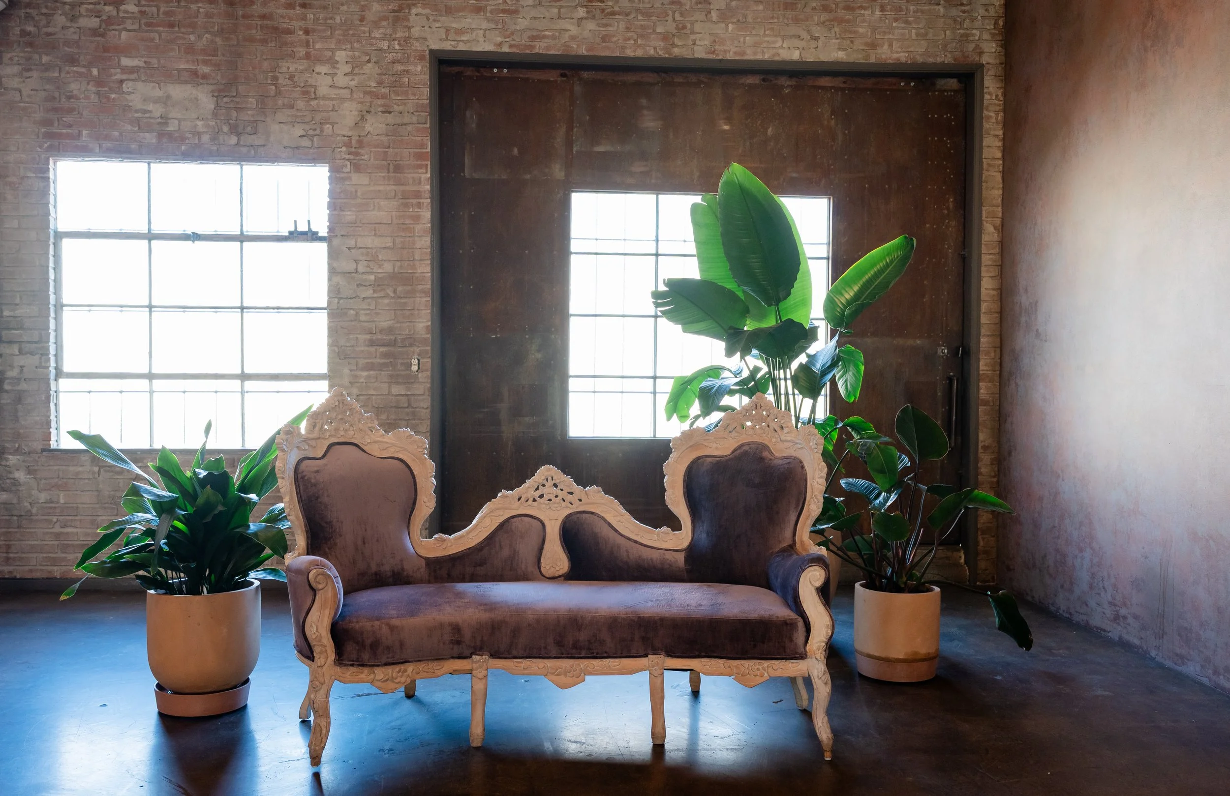 Vintage Victorian-style sofa with dark velvet upholstery and ornate white wooden frame, flanked by two large potted green plants, in an industrial-style room with brick walls and a metal door.
