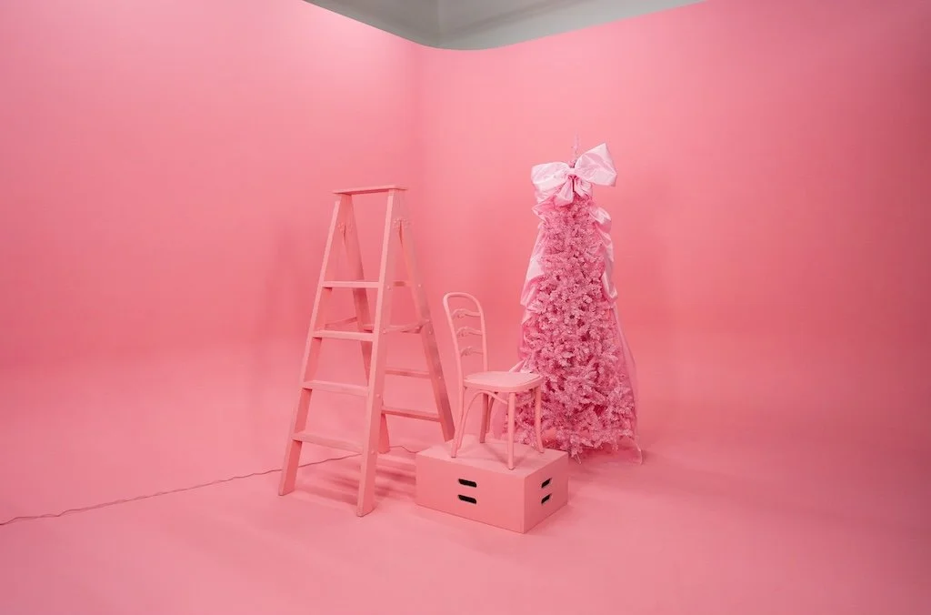 Pink cyc wall at StuSpaceLA Stu 1 Photography Studio