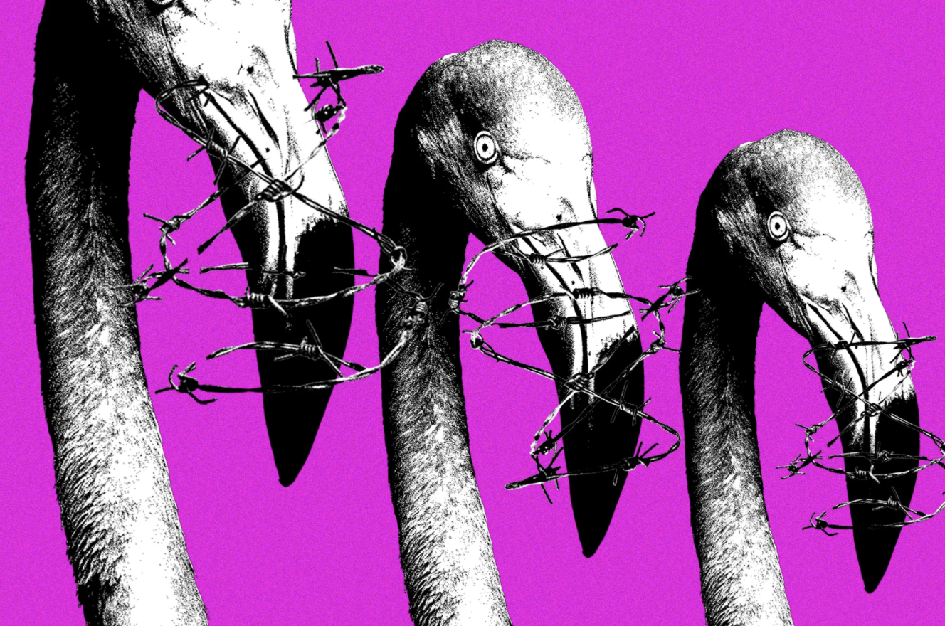 WIRED: Meta’s Copyright System Is Being Weaponized Against Albanian Protesters