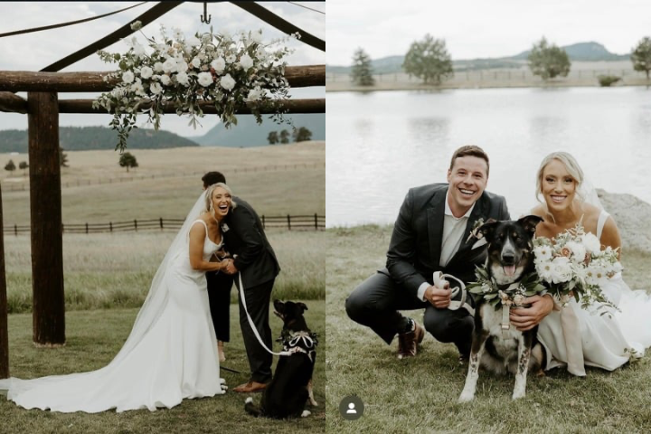 Untitled design - 5.png