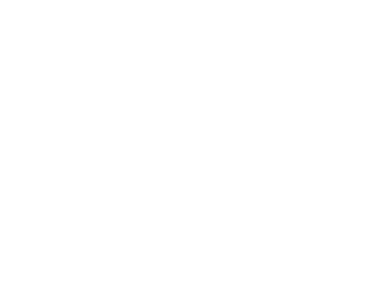 Vechi Painting &amp; Deco