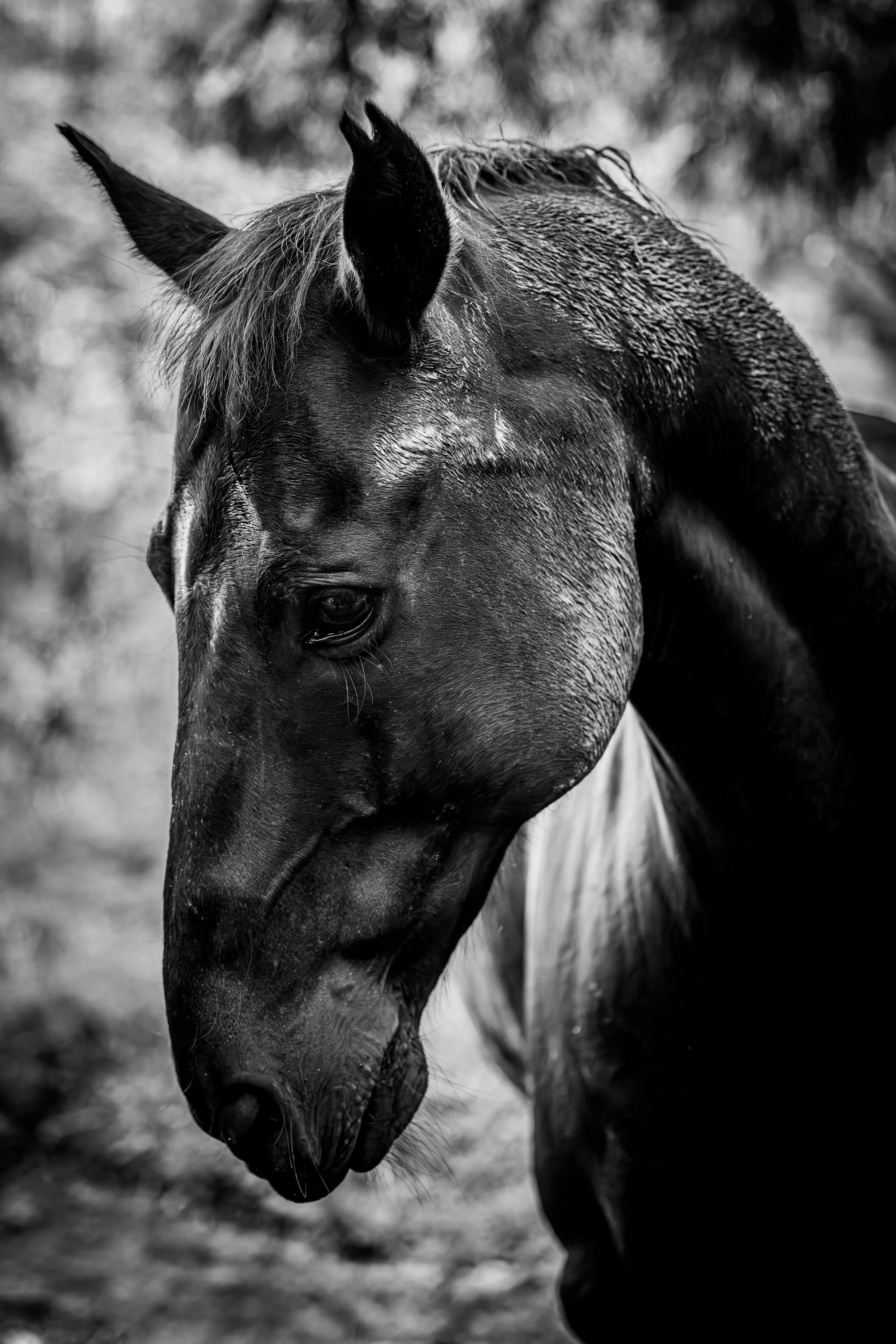 B&W-12.jpg