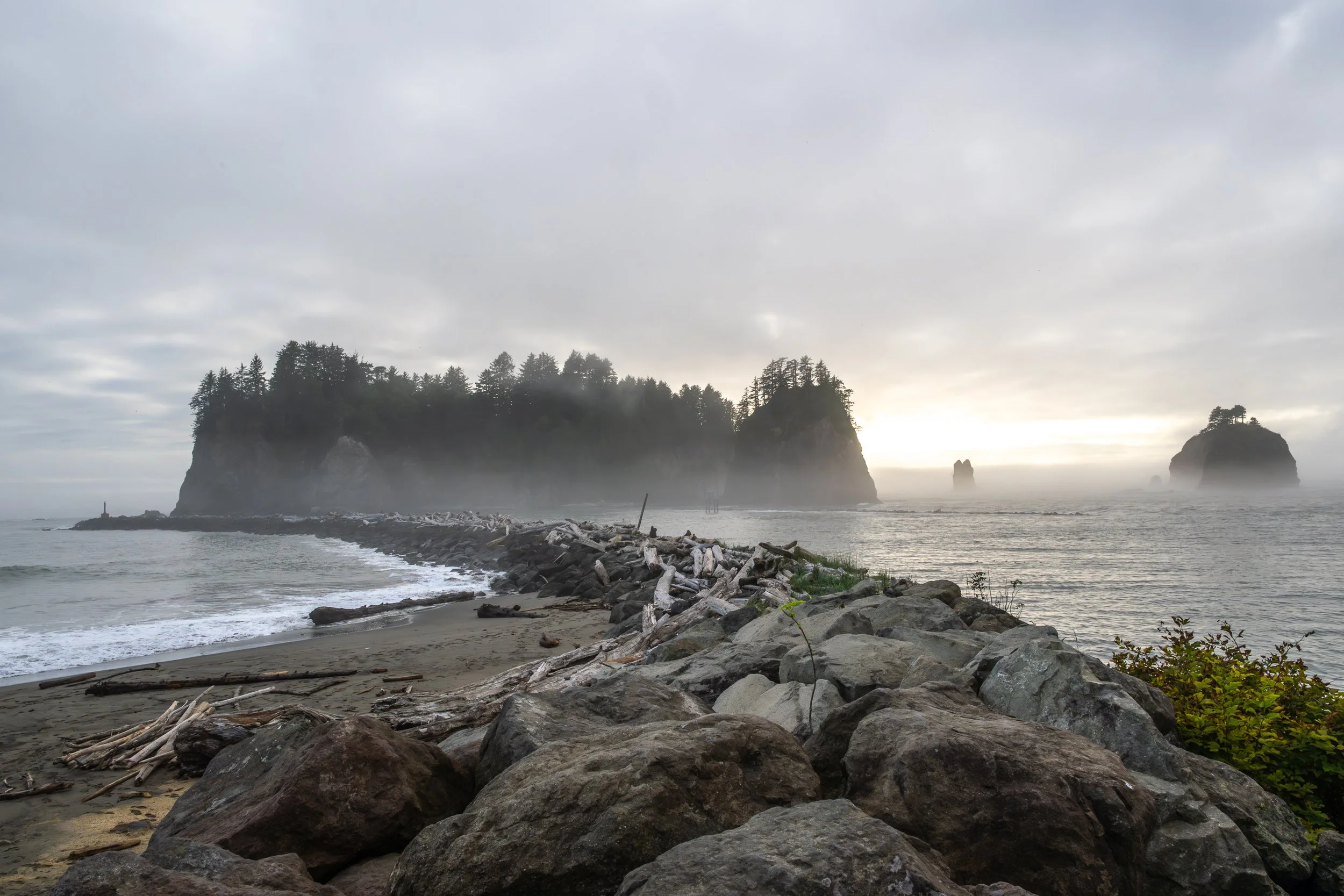 Forks_smaller file-3.jpg