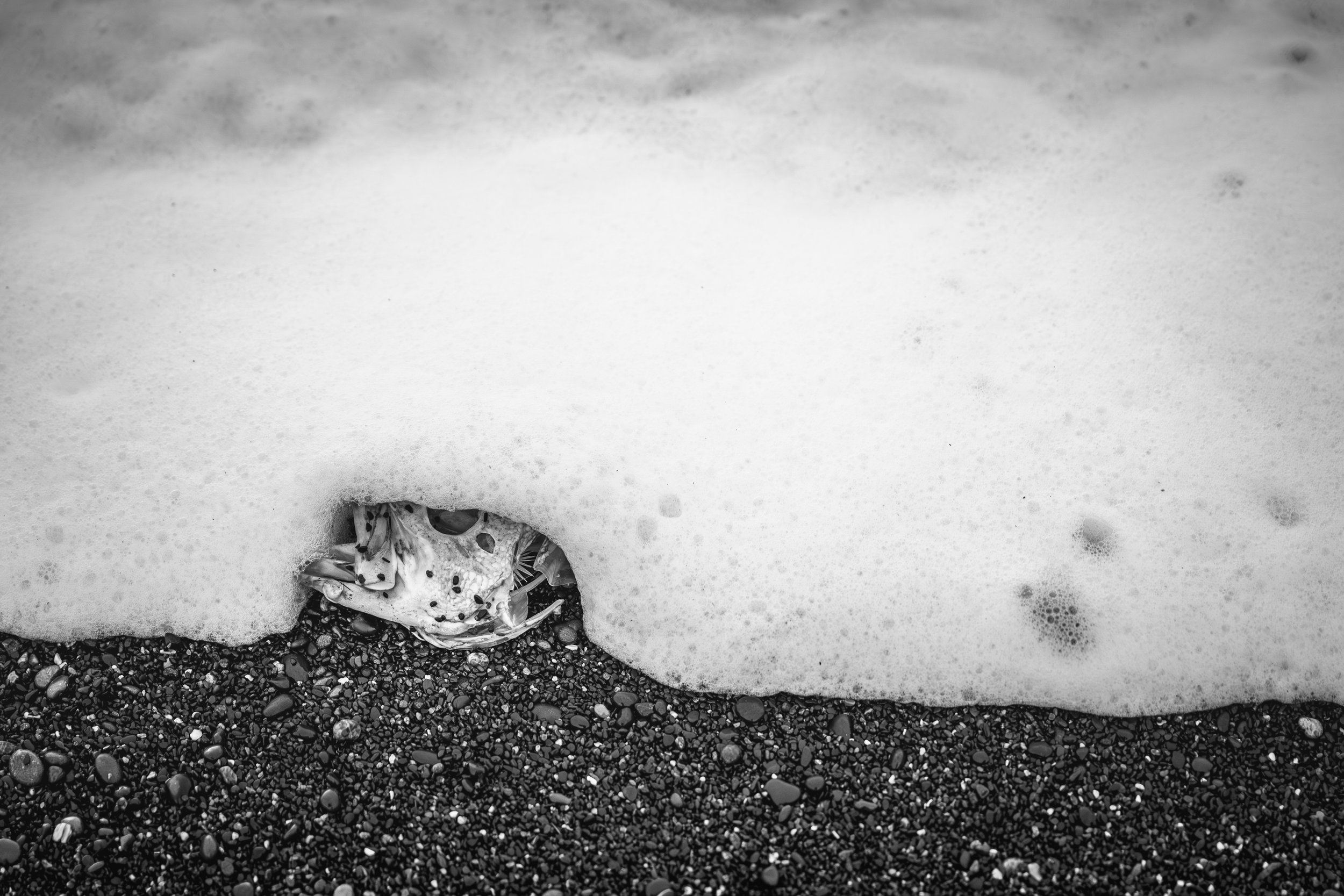 B&W-11.jpg
