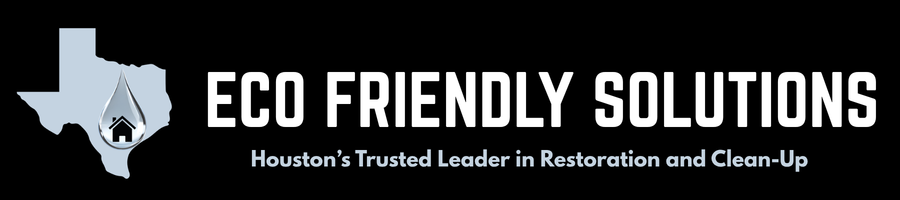 ECO FRIENDLY SERVICES LLC