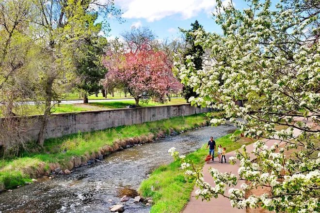 Cherry Creek