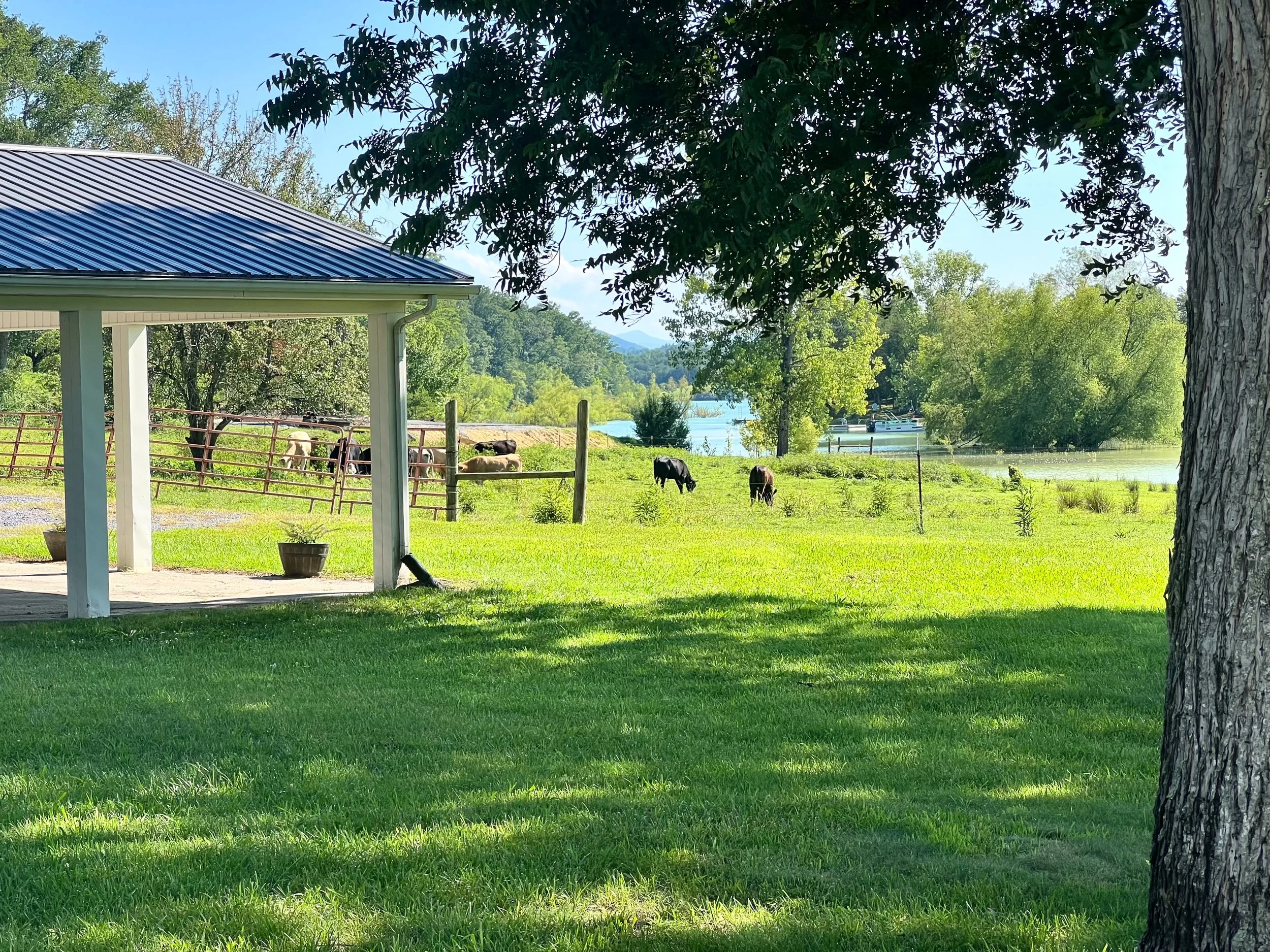 FullSizeRender_jpg 2.jpg