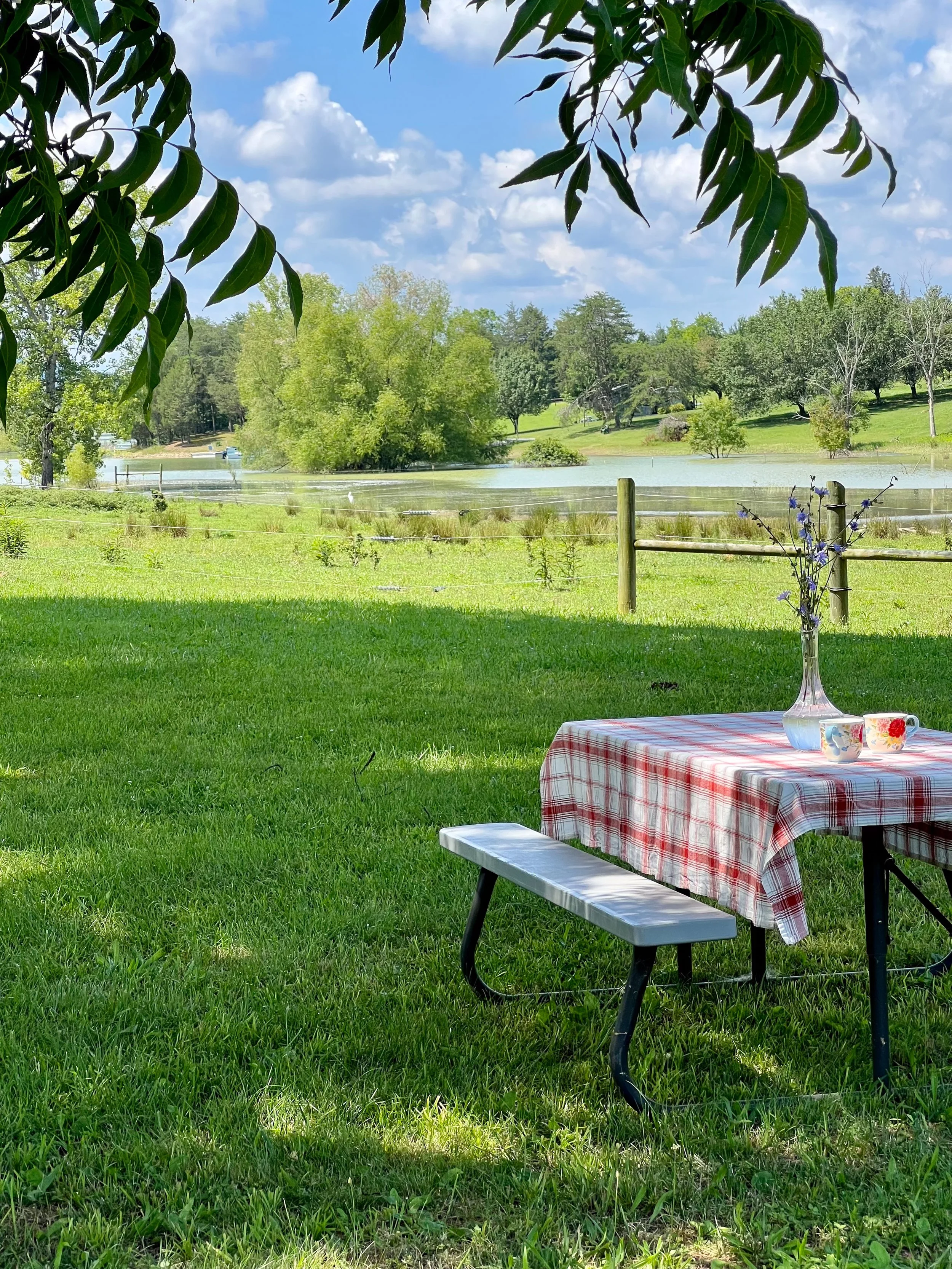 FullSizeRender_jpg 13.jpg