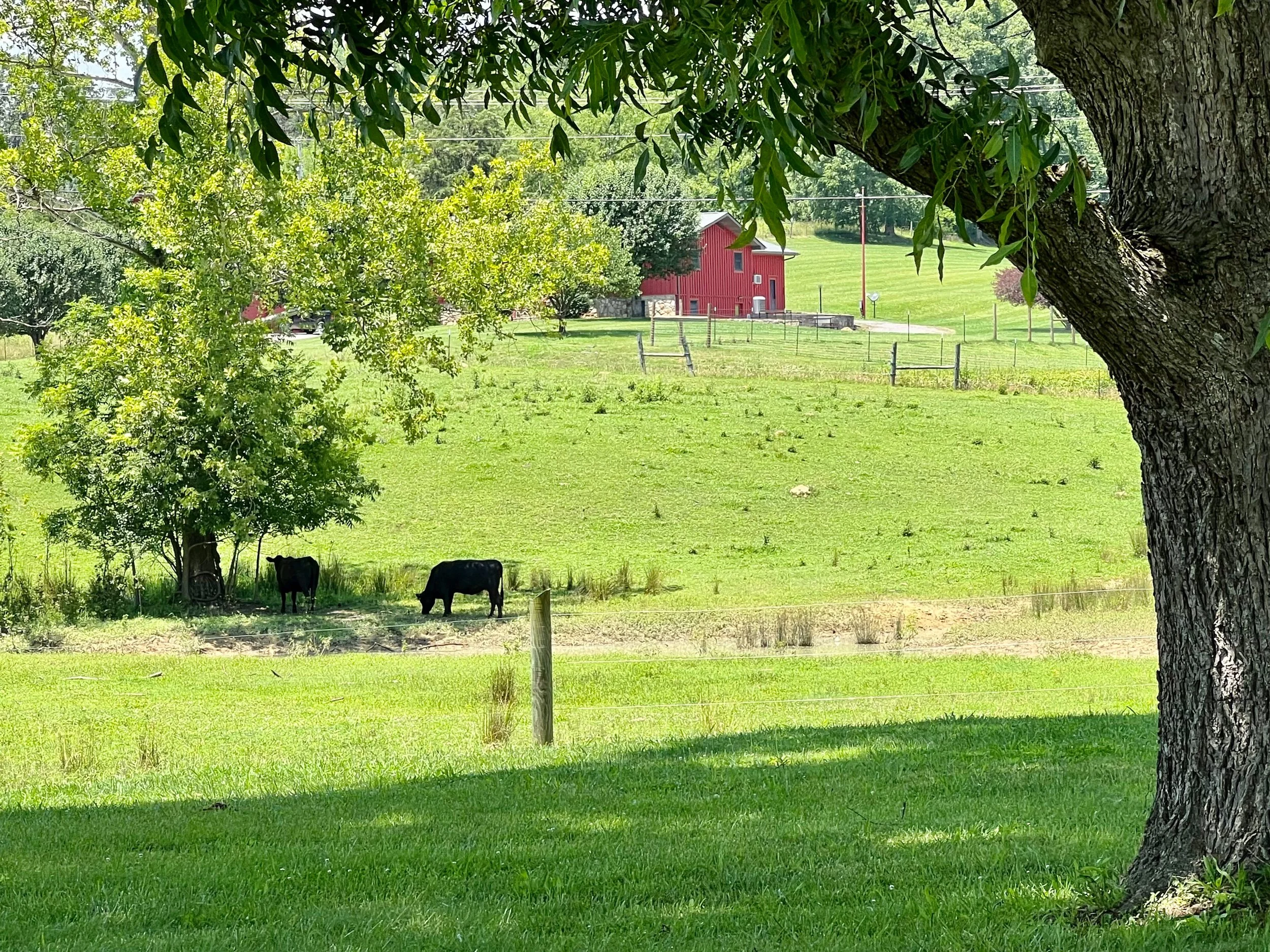 FullSizeRender_jpg 6.jpg