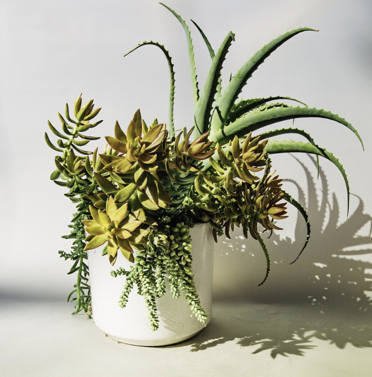 Screenshot 2024-01-12 at 6.00.14 PM.png